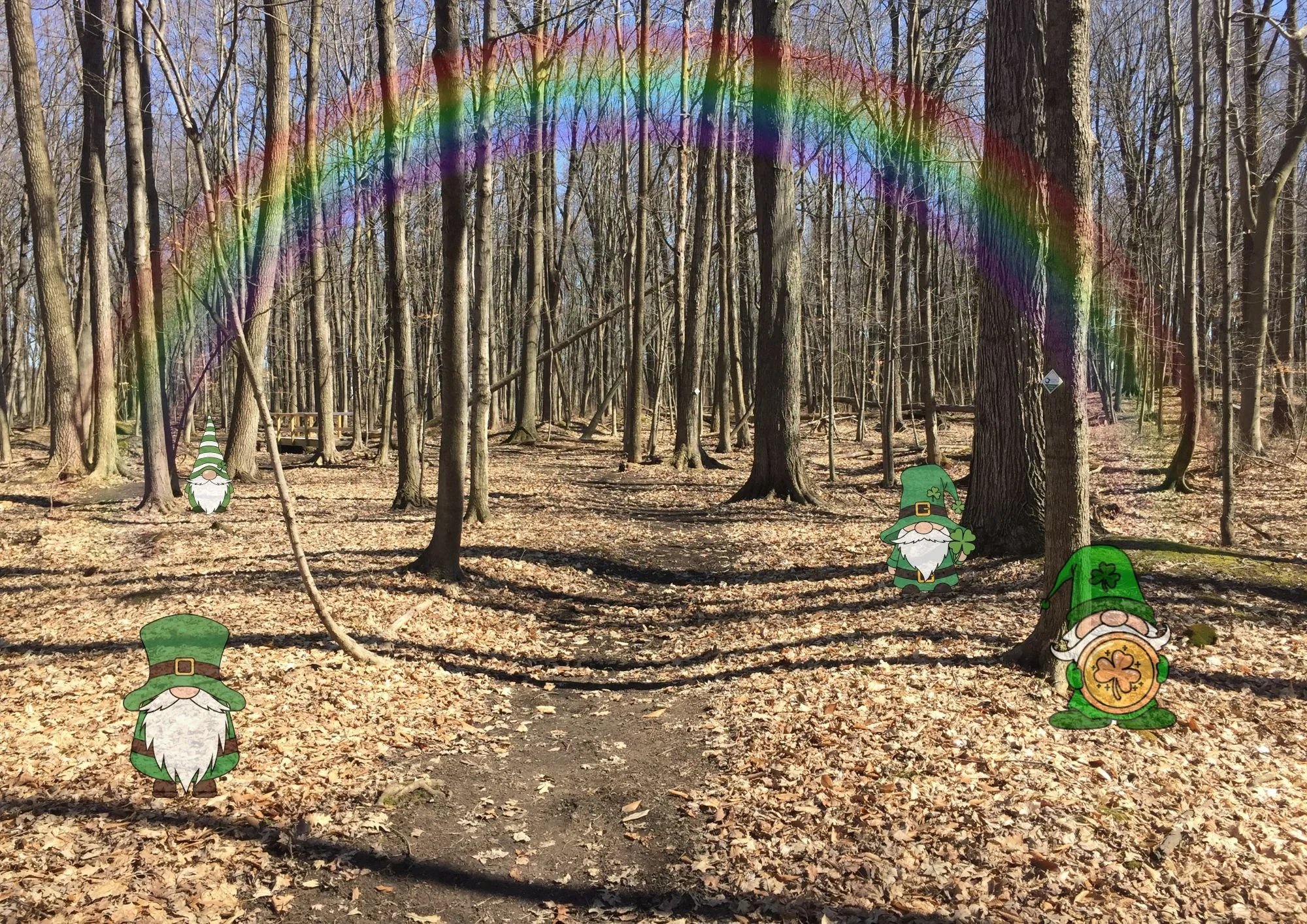 Looking for Leprechauns 