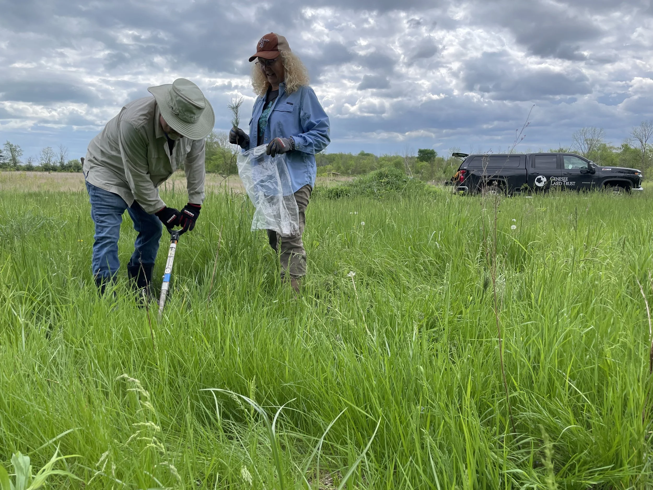 Trail Keepers: Tree Planting at Macyville Woods