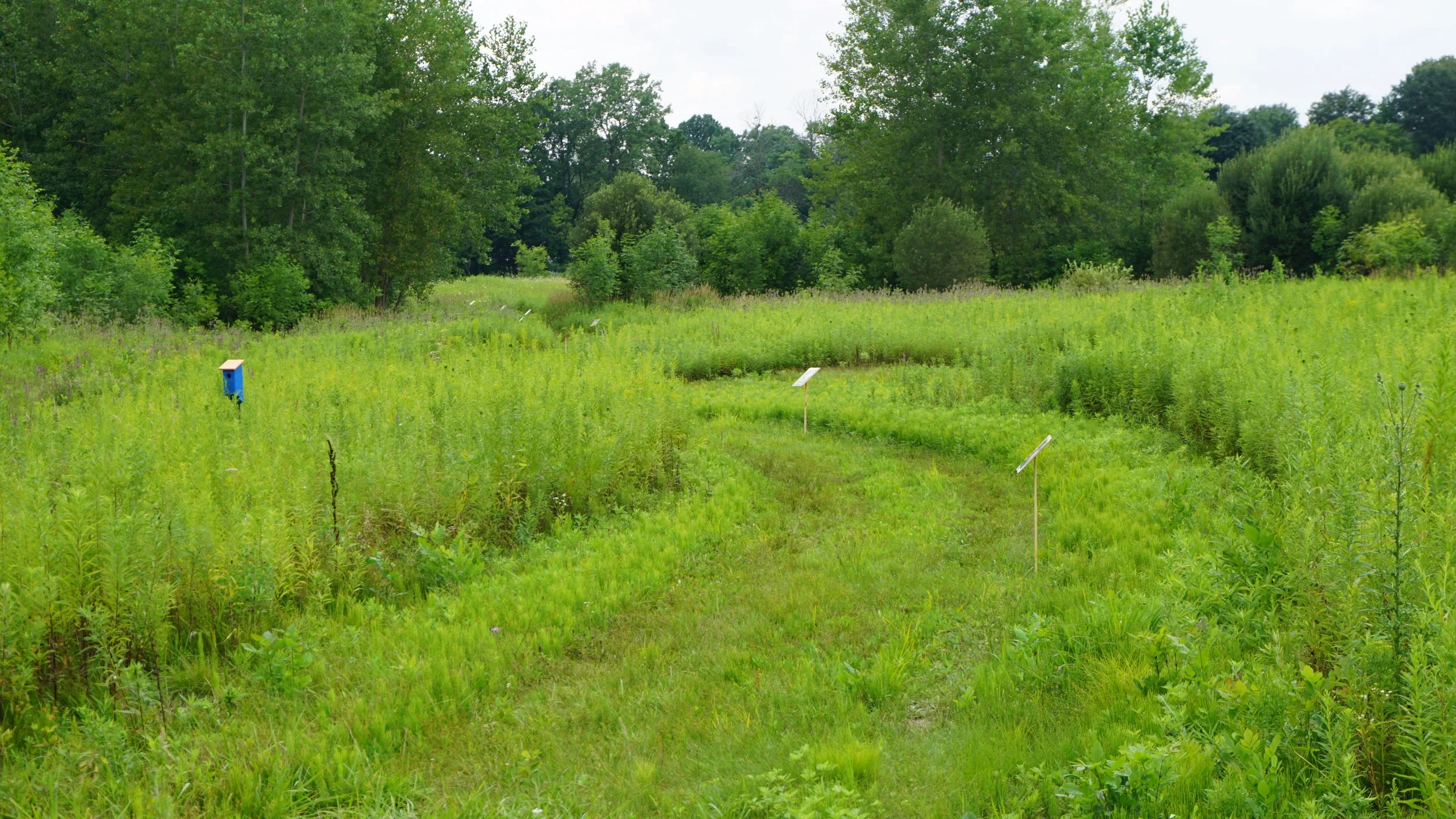 Ecology Exploration