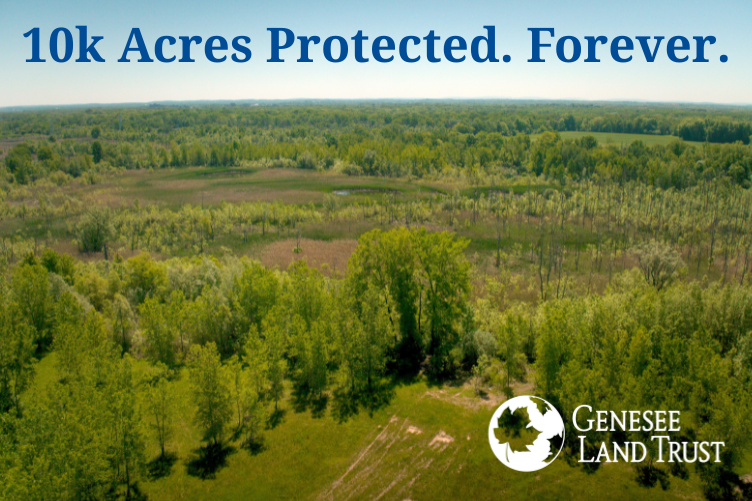 Genesee Land Trust Surpasses 10,000 Acres Protected