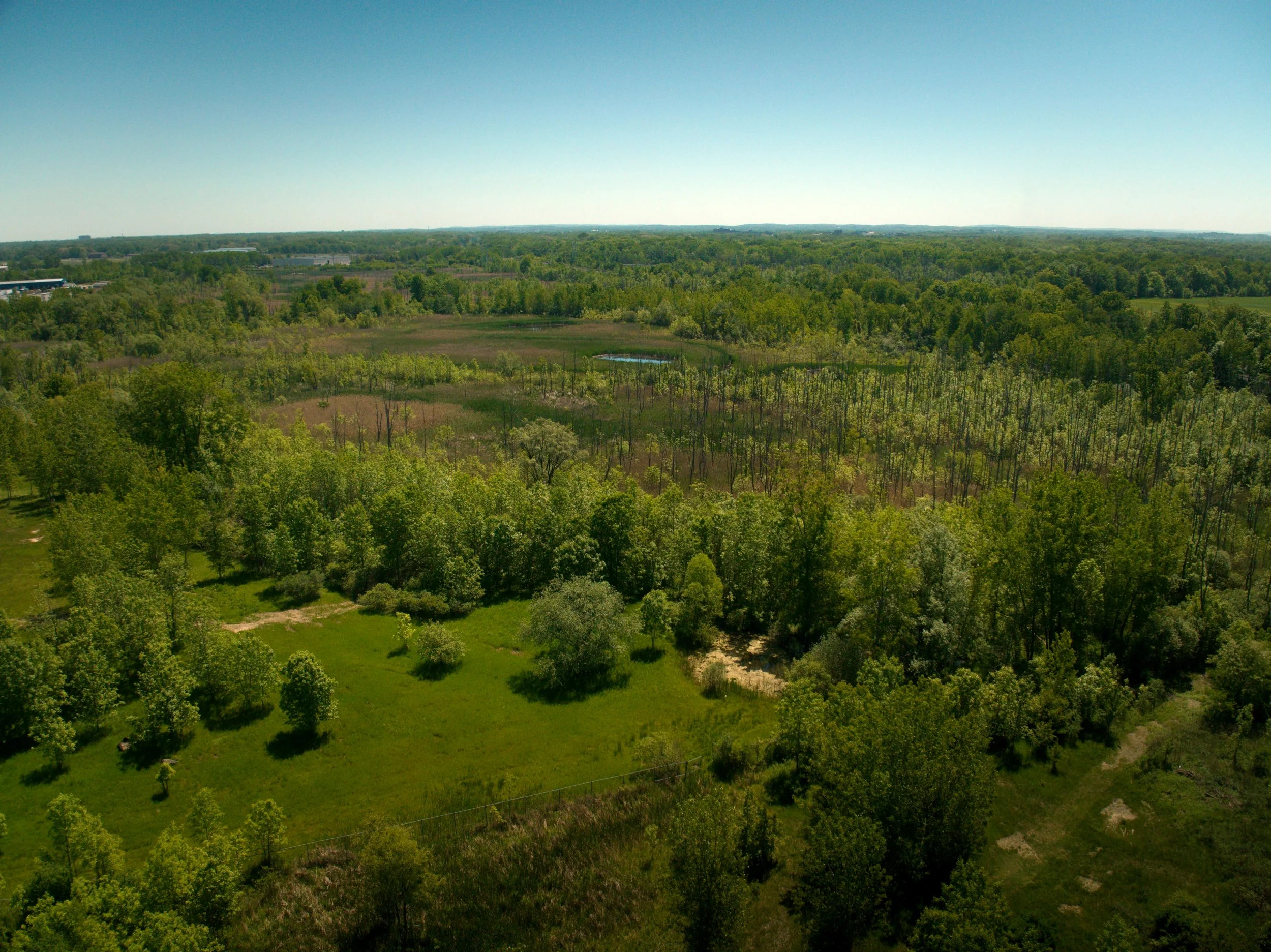 Genesee Land Trust Surpasses 10,000 Acres Protected