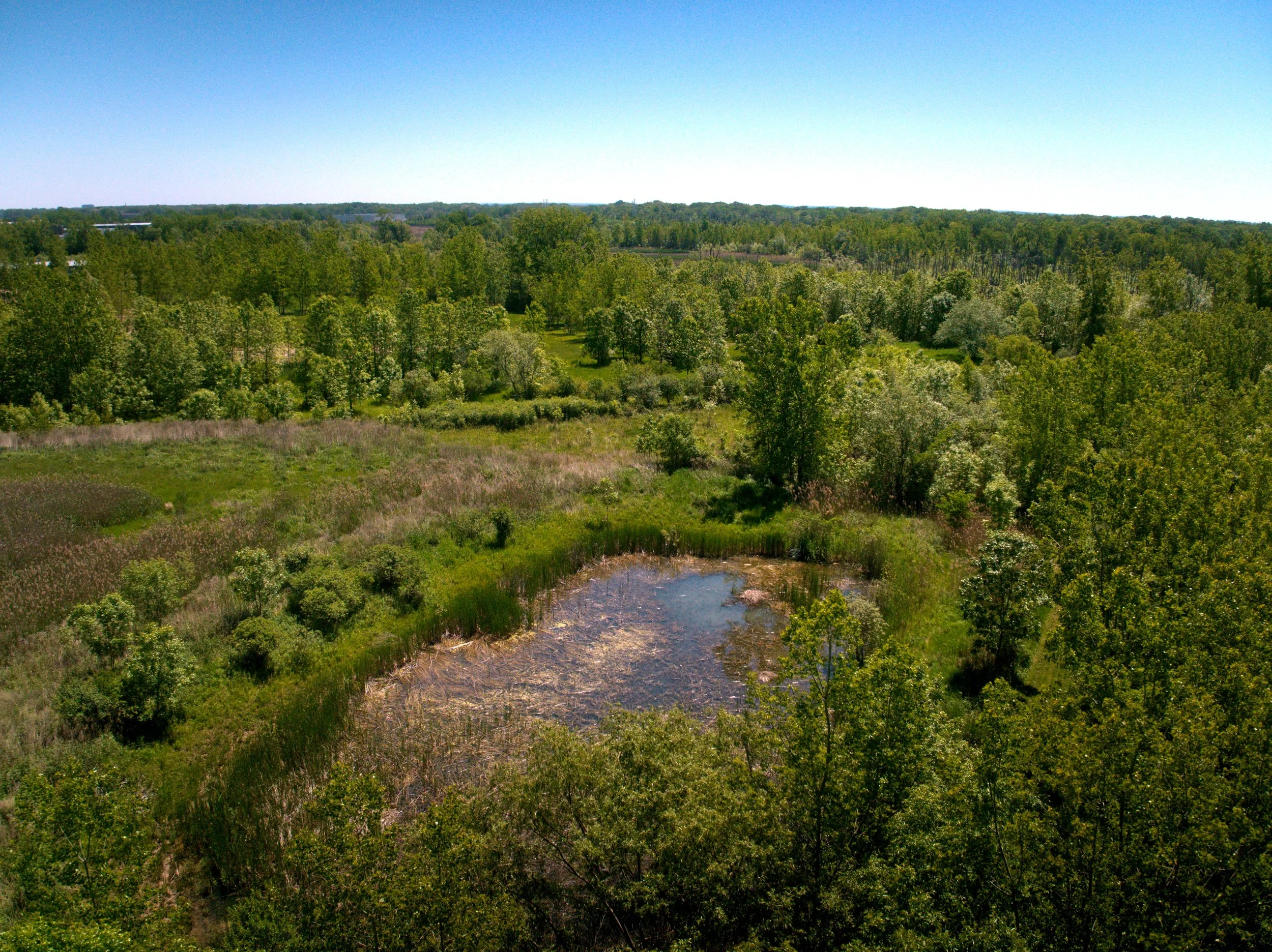 260612_CHILI WETLANDS - 00000002.jpg