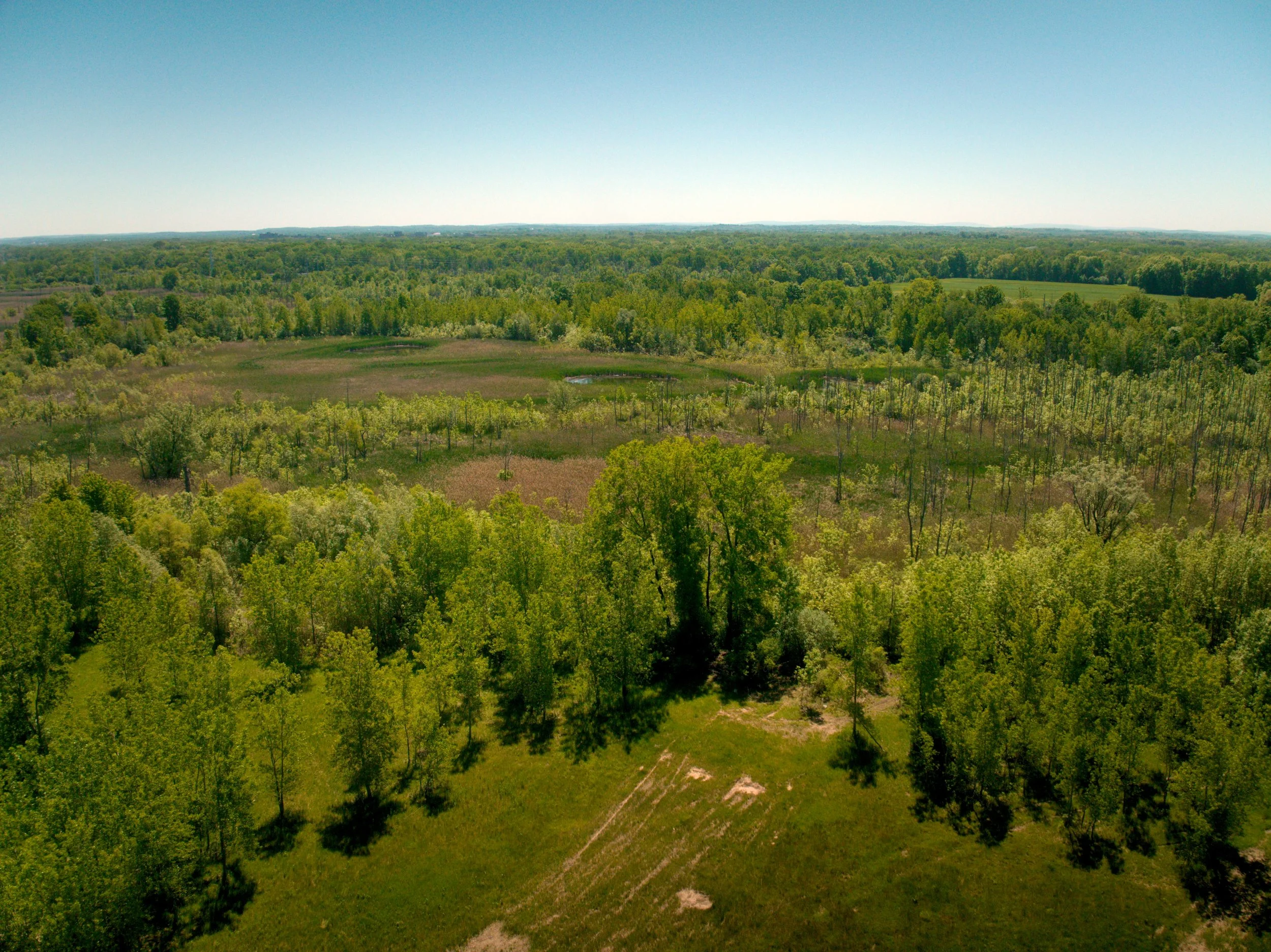 260612_CHILI WETLANDS - 00000005.jpg