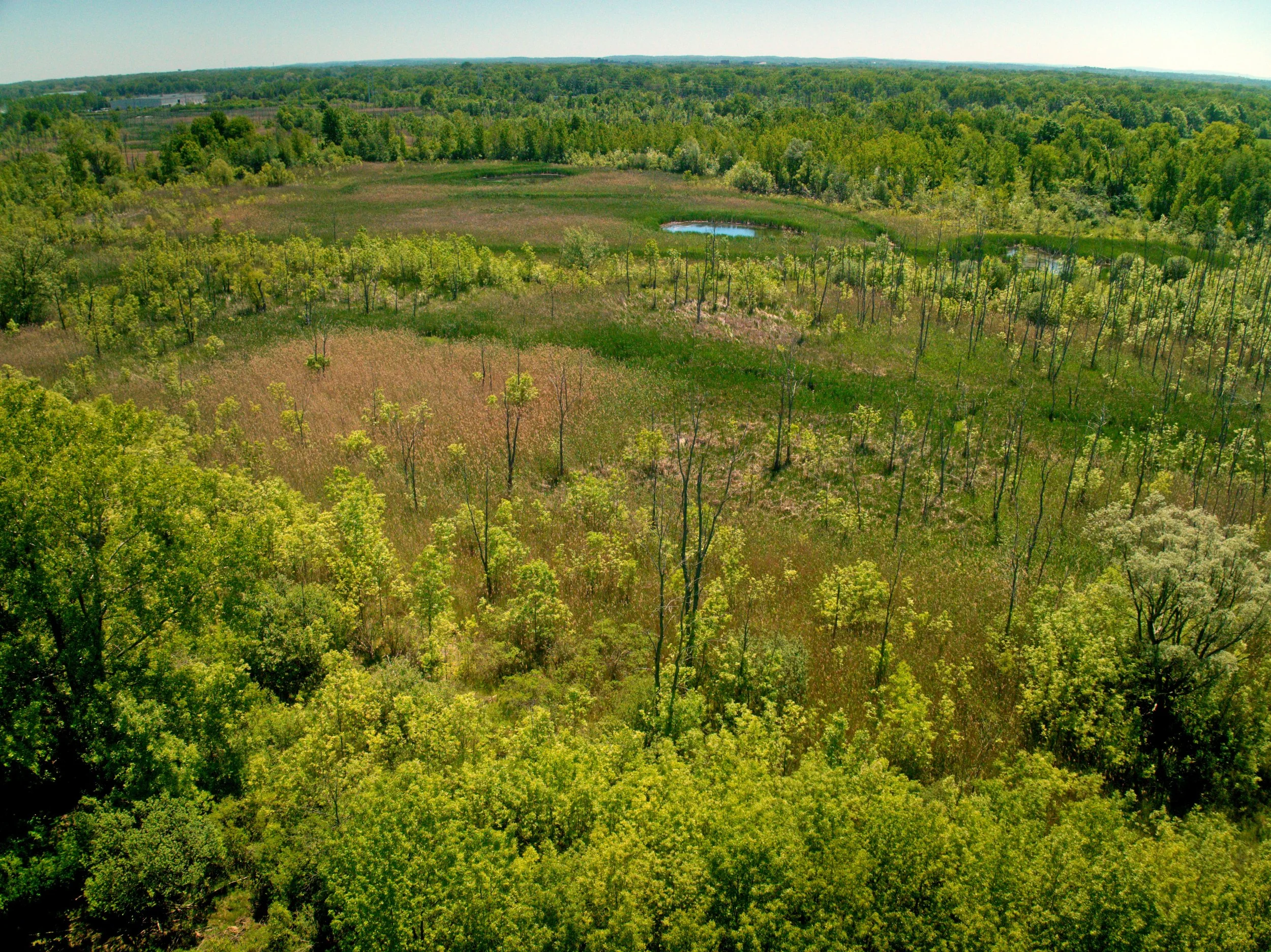 260612_CHILI WETLANDS - 00000006.jpg