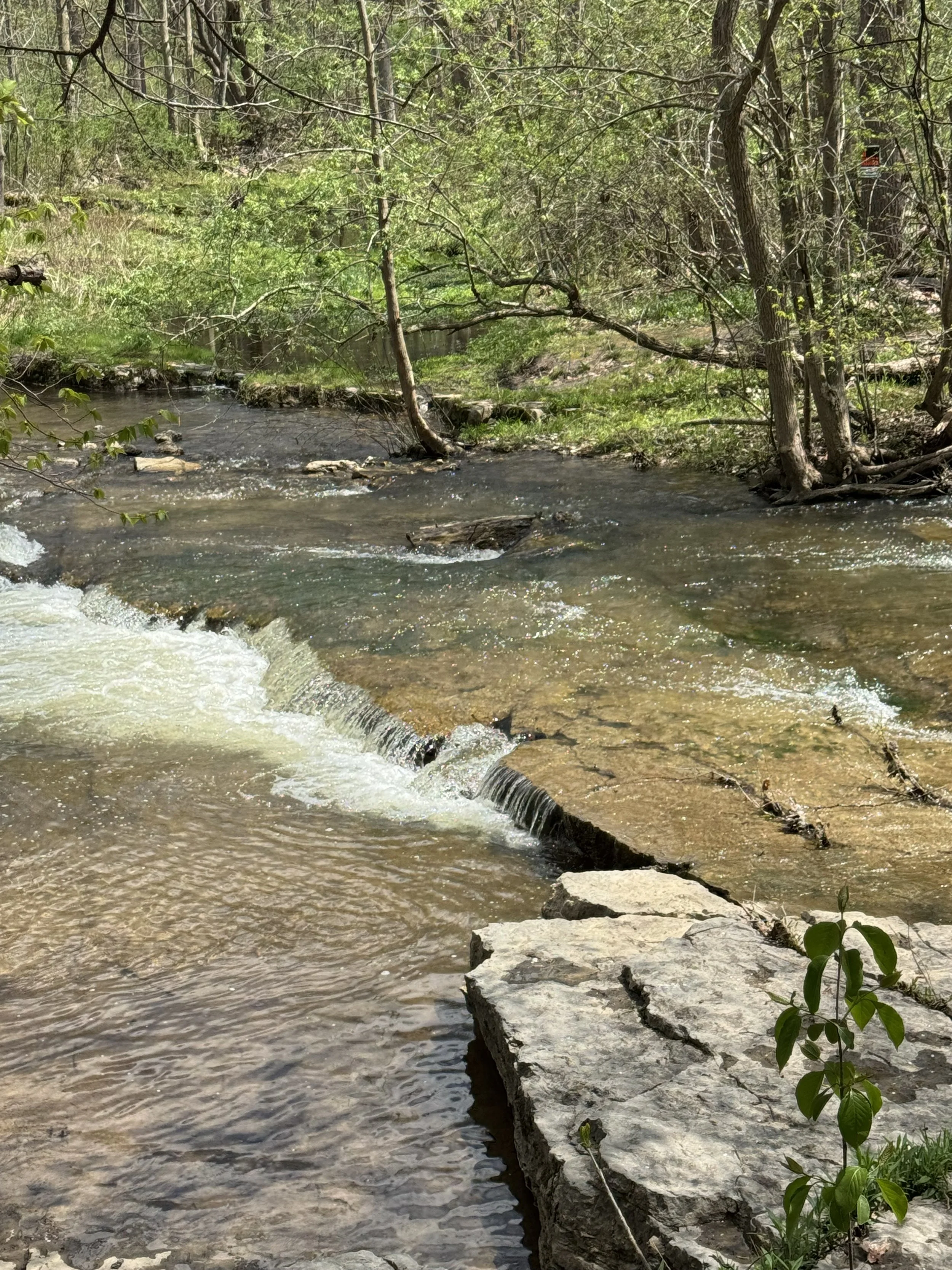 IMG_5467.jpeg