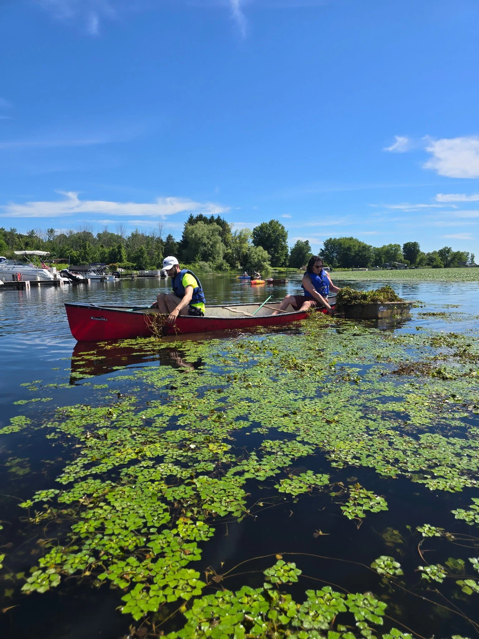 Volunteers Make Massive Impact on Greece Waters 