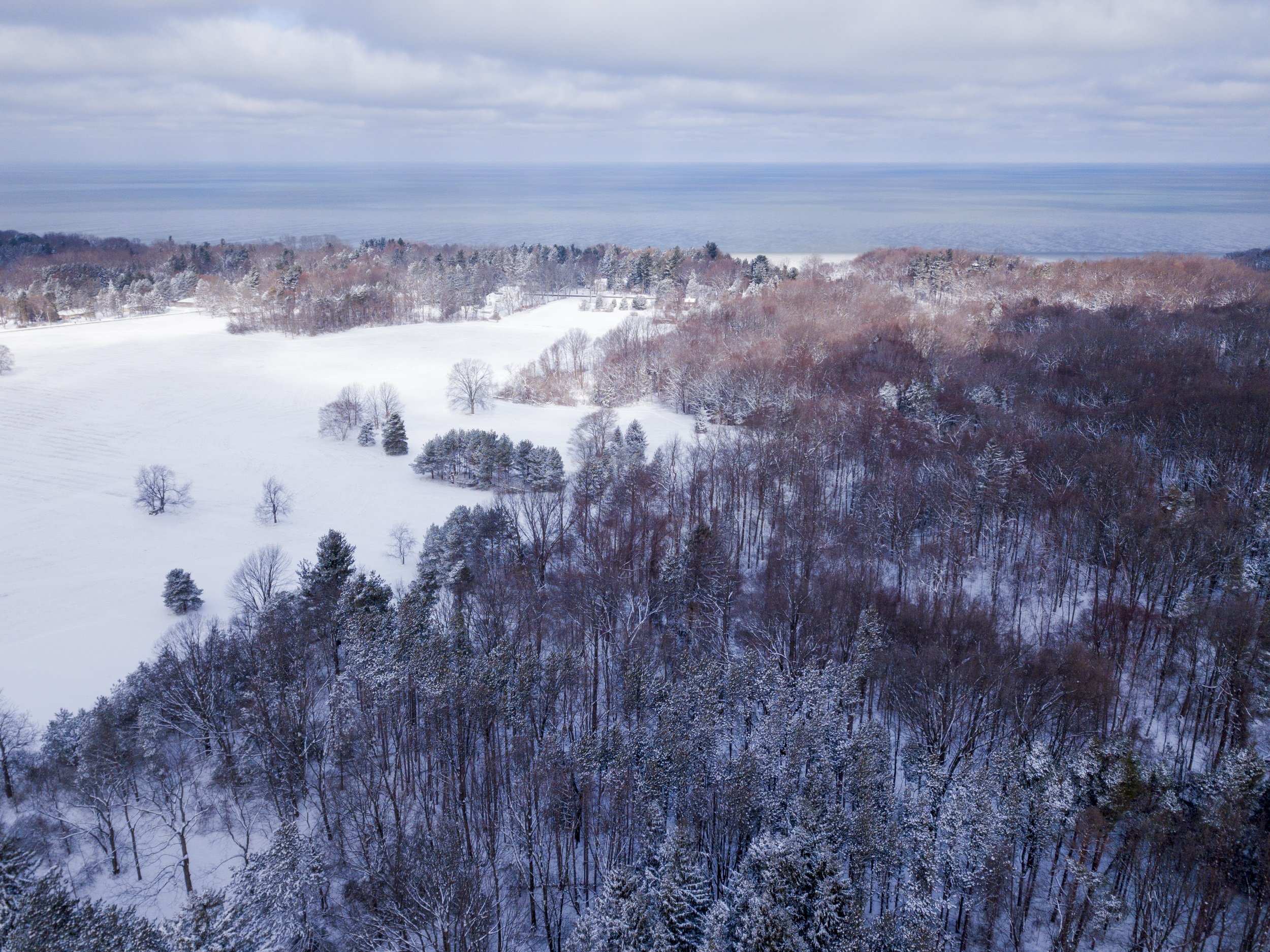 Gosnell snowy field over woods to Lake.jpg