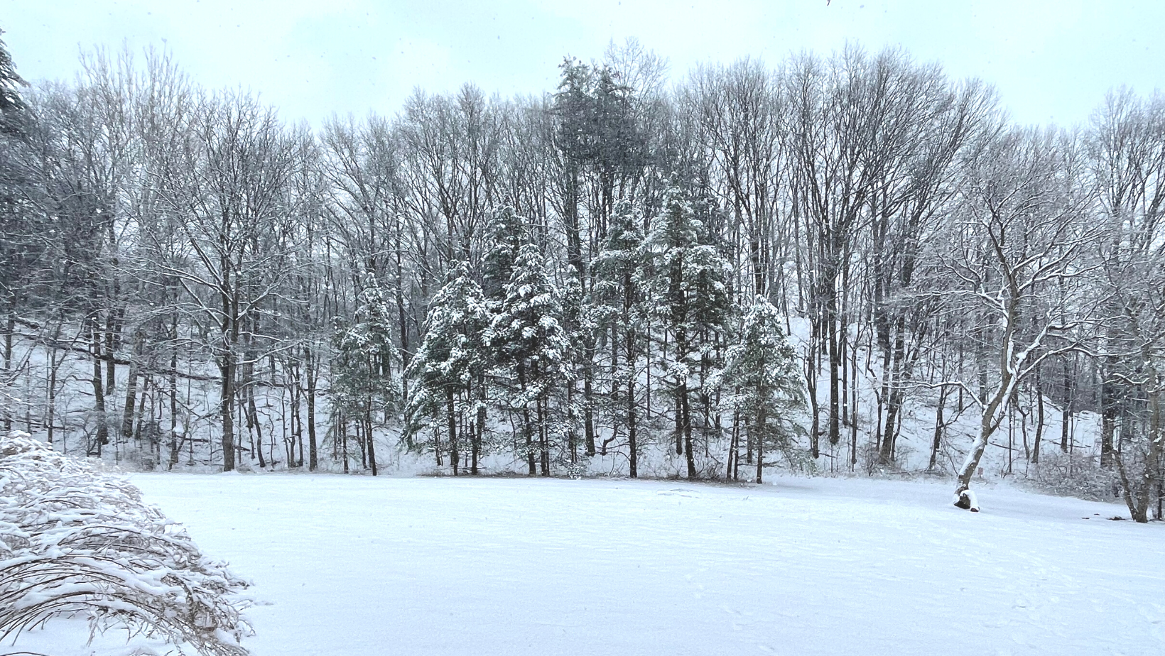 Corbett's Glen in Winter