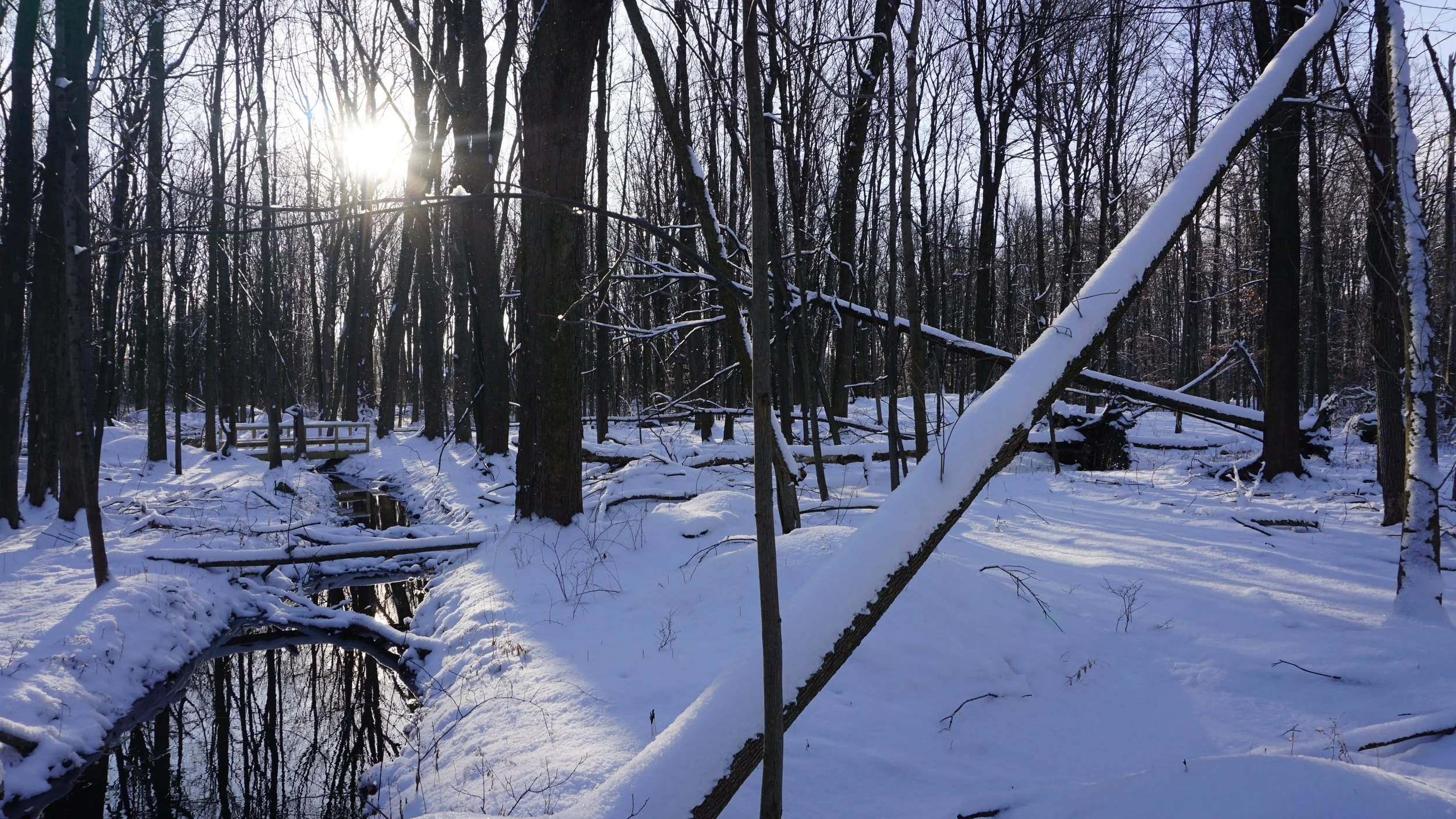 Gossin 1-9-20 Snow (14).JPG