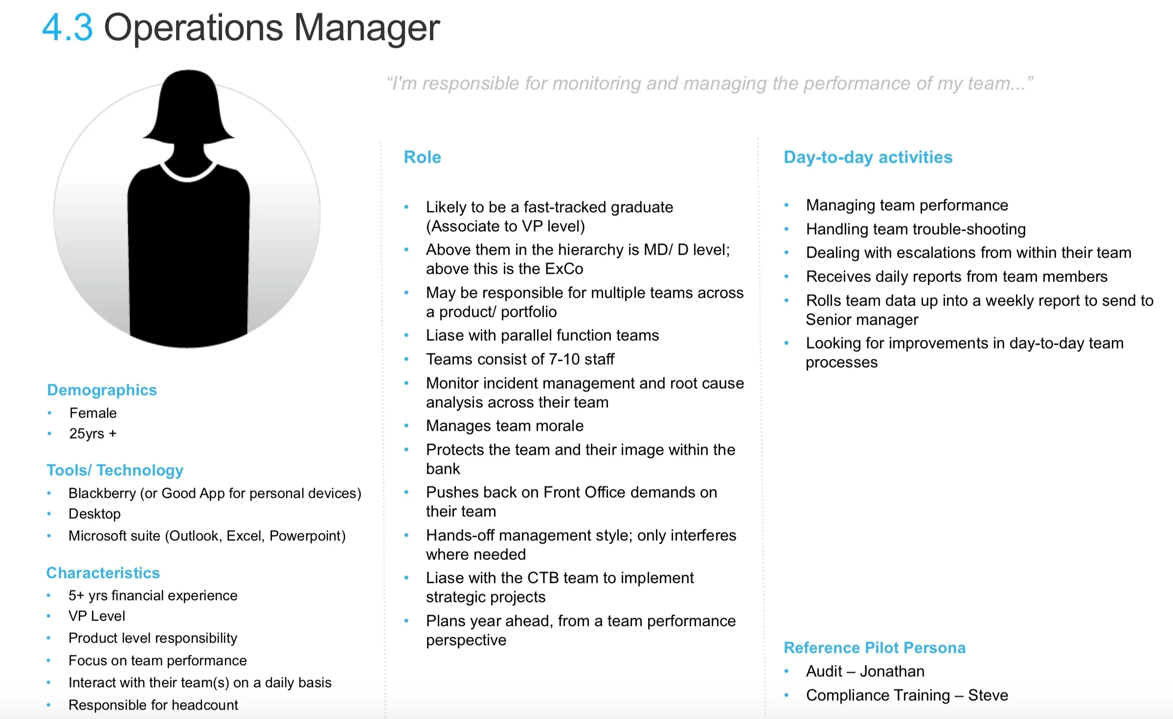  Formalised framework persona example