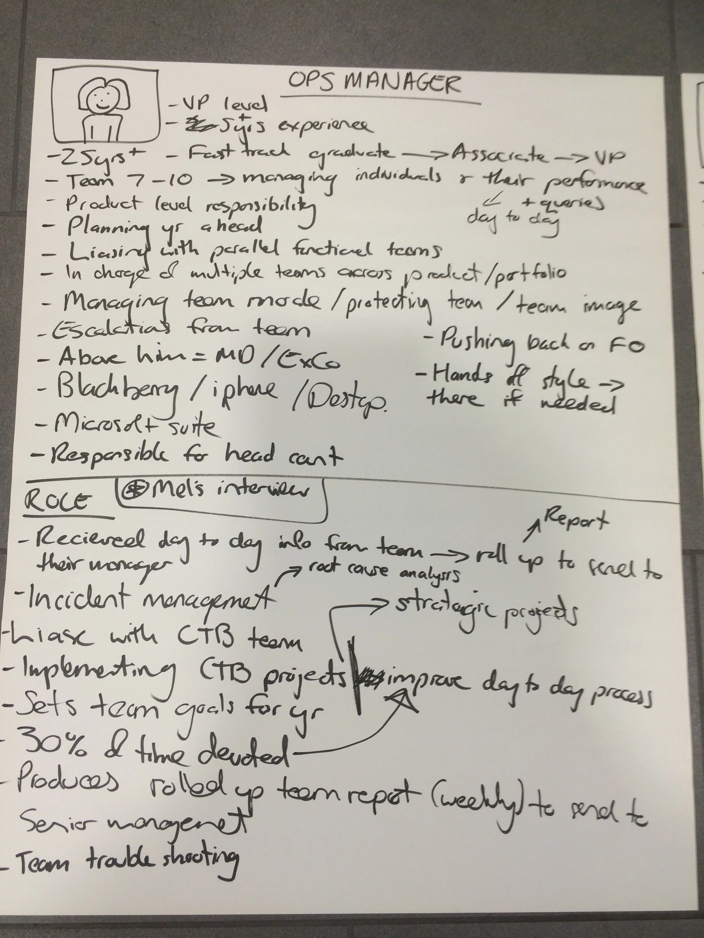 Finalised framework persona