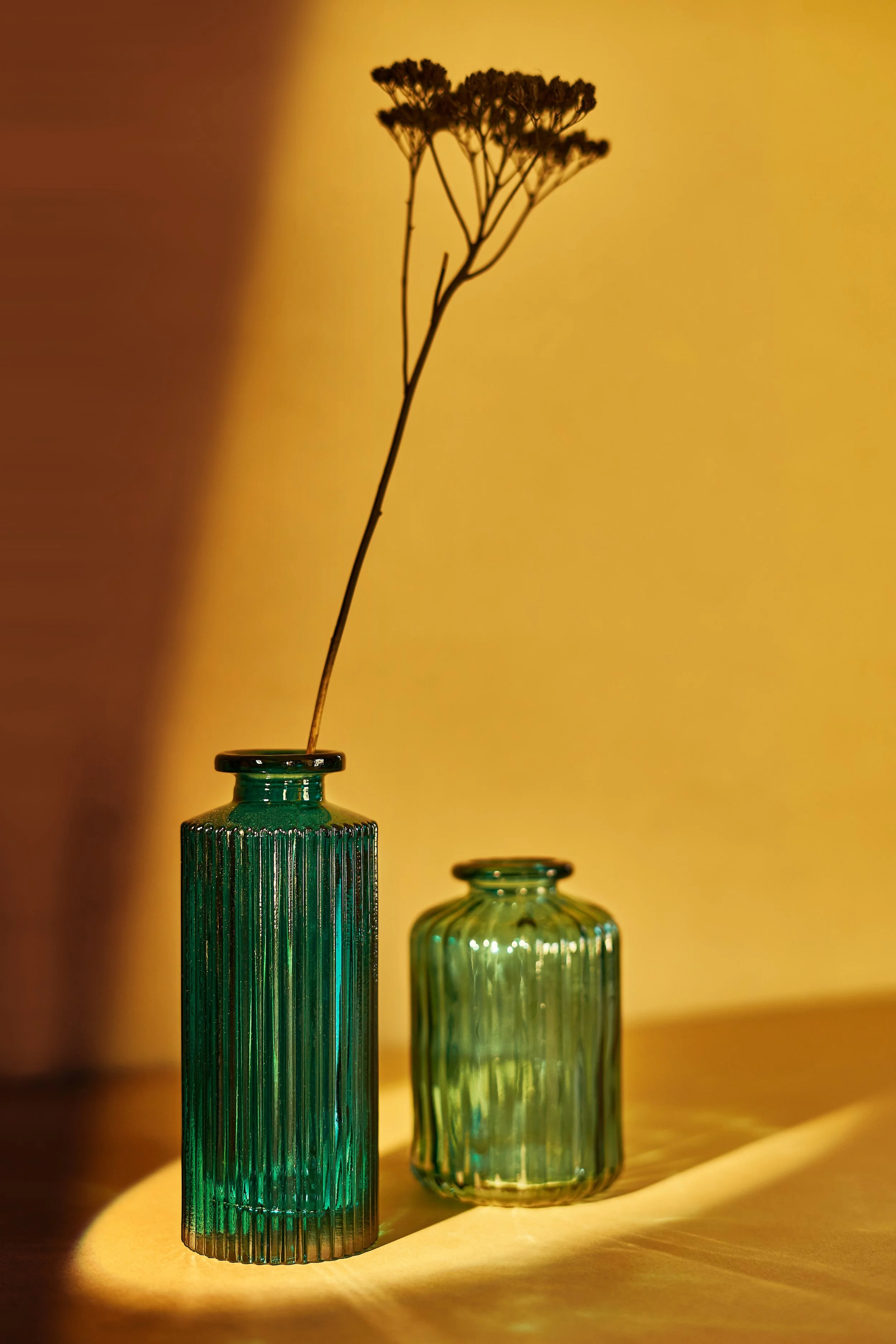 deco vasesX.jpg
