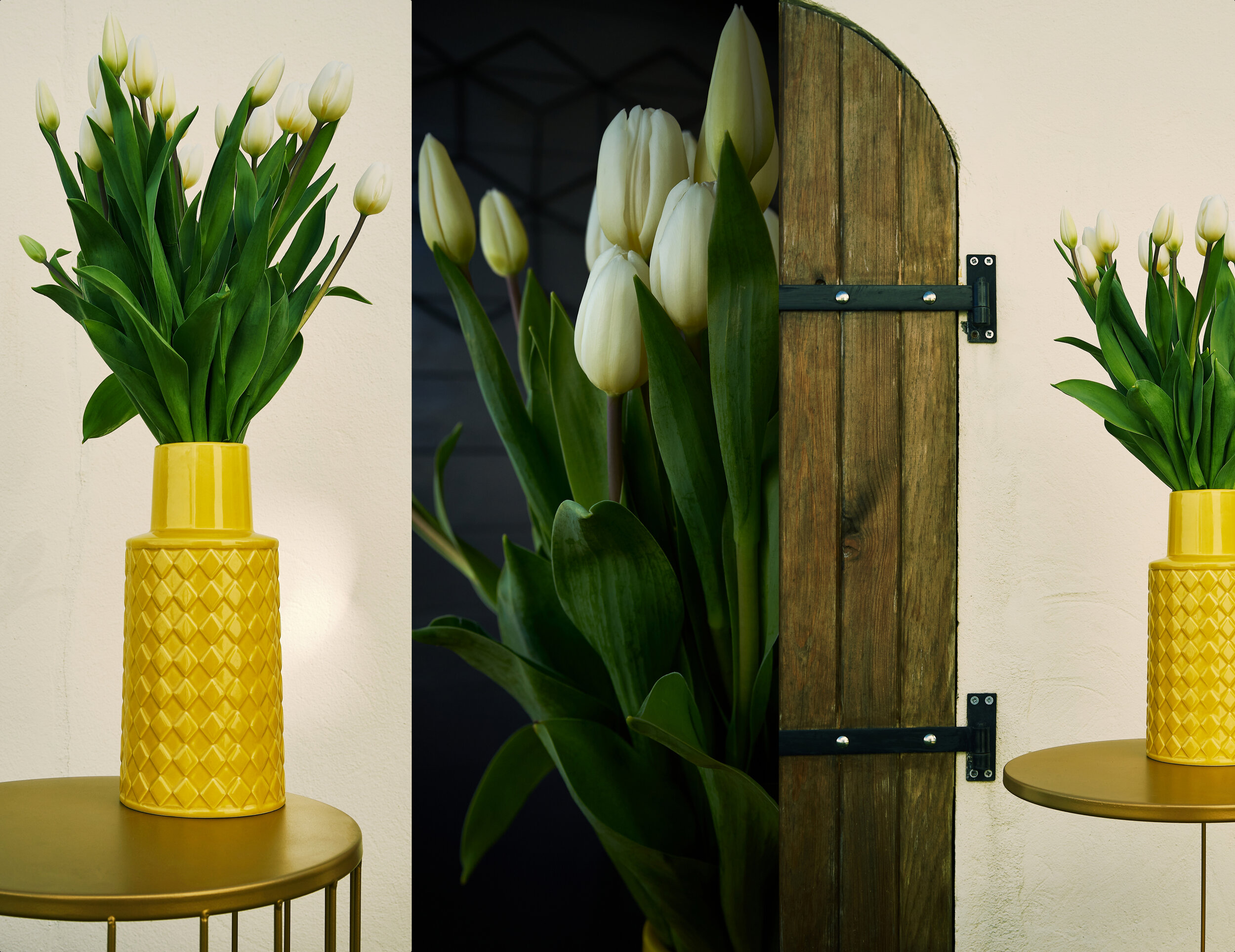TULIPS-collage-2.jpg