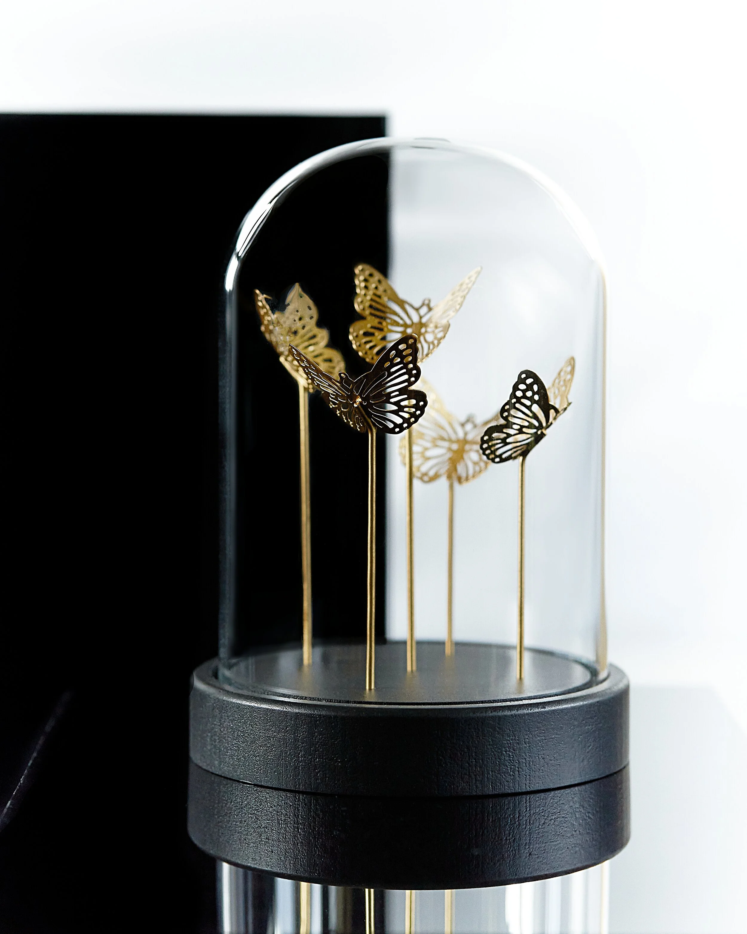 papillonsX.jpg