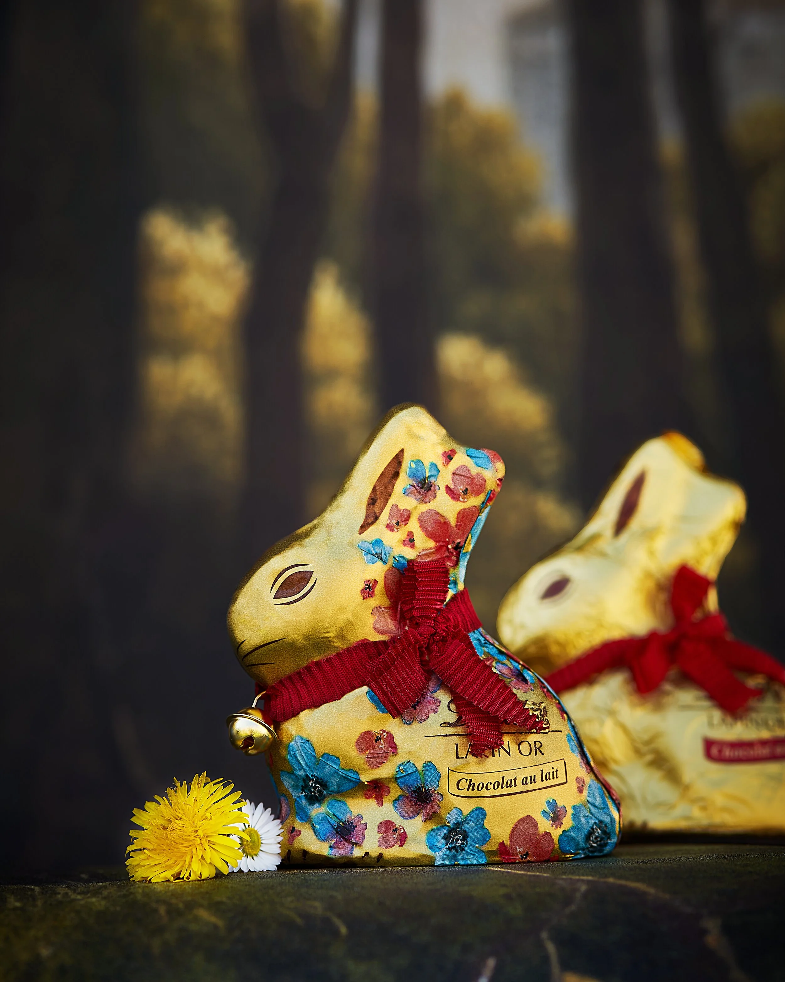 lapin d'or 2X 4.5.jpg