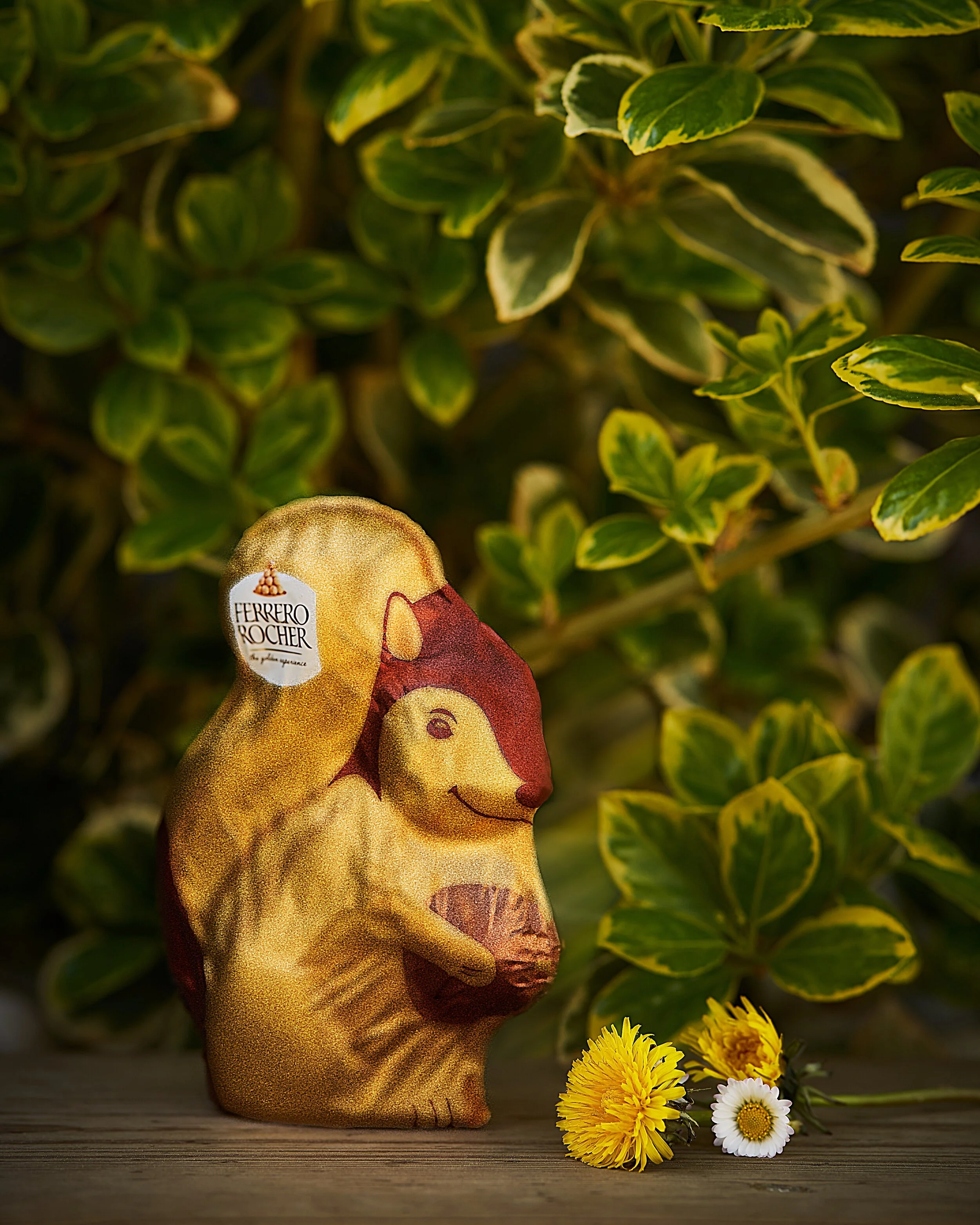 lapin d'or 4XX 4.5.jpg