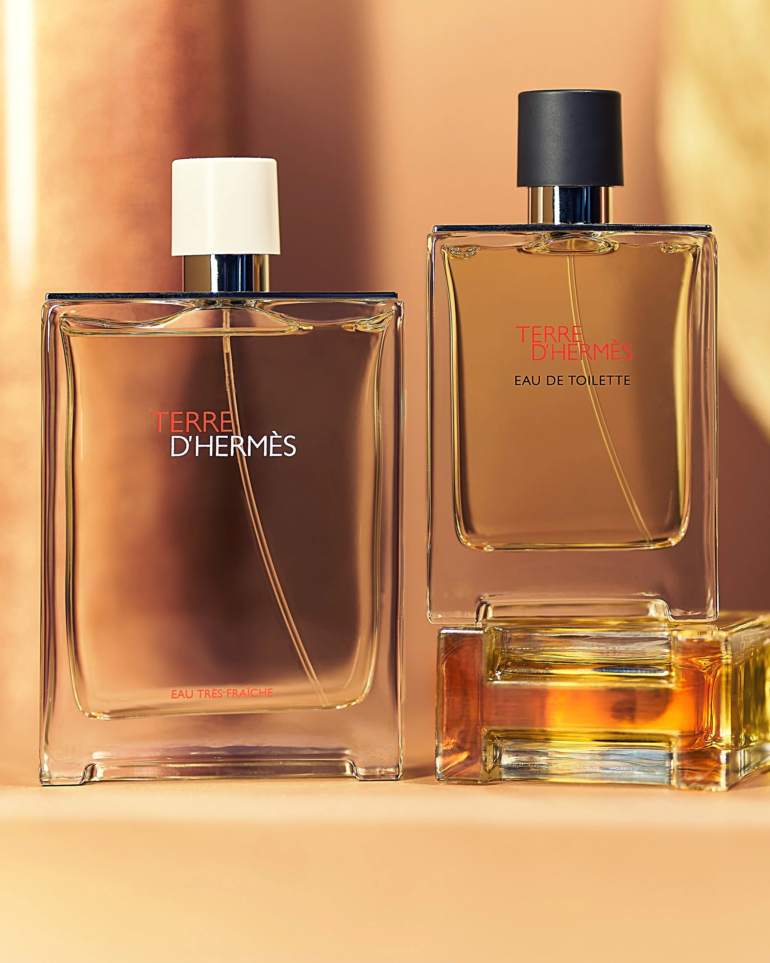 Terre d'Hermès 1X libweb.jpg
