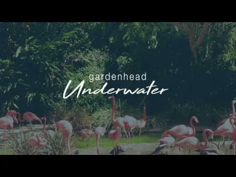 gardenheardunderwater.jpg