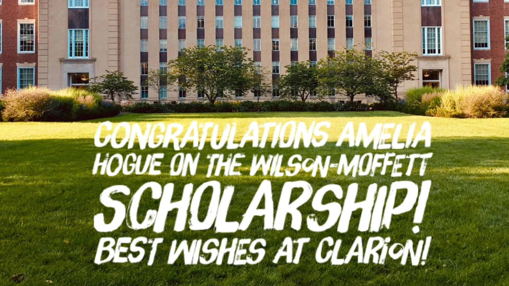 Congratulations Amelia Hogue:  Wilson-Moffett Scholarship!