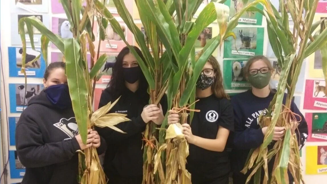  FFA Sells Corn Stalks Just in Time for Fall!