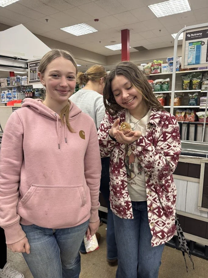 Loving the chicks at Rural King