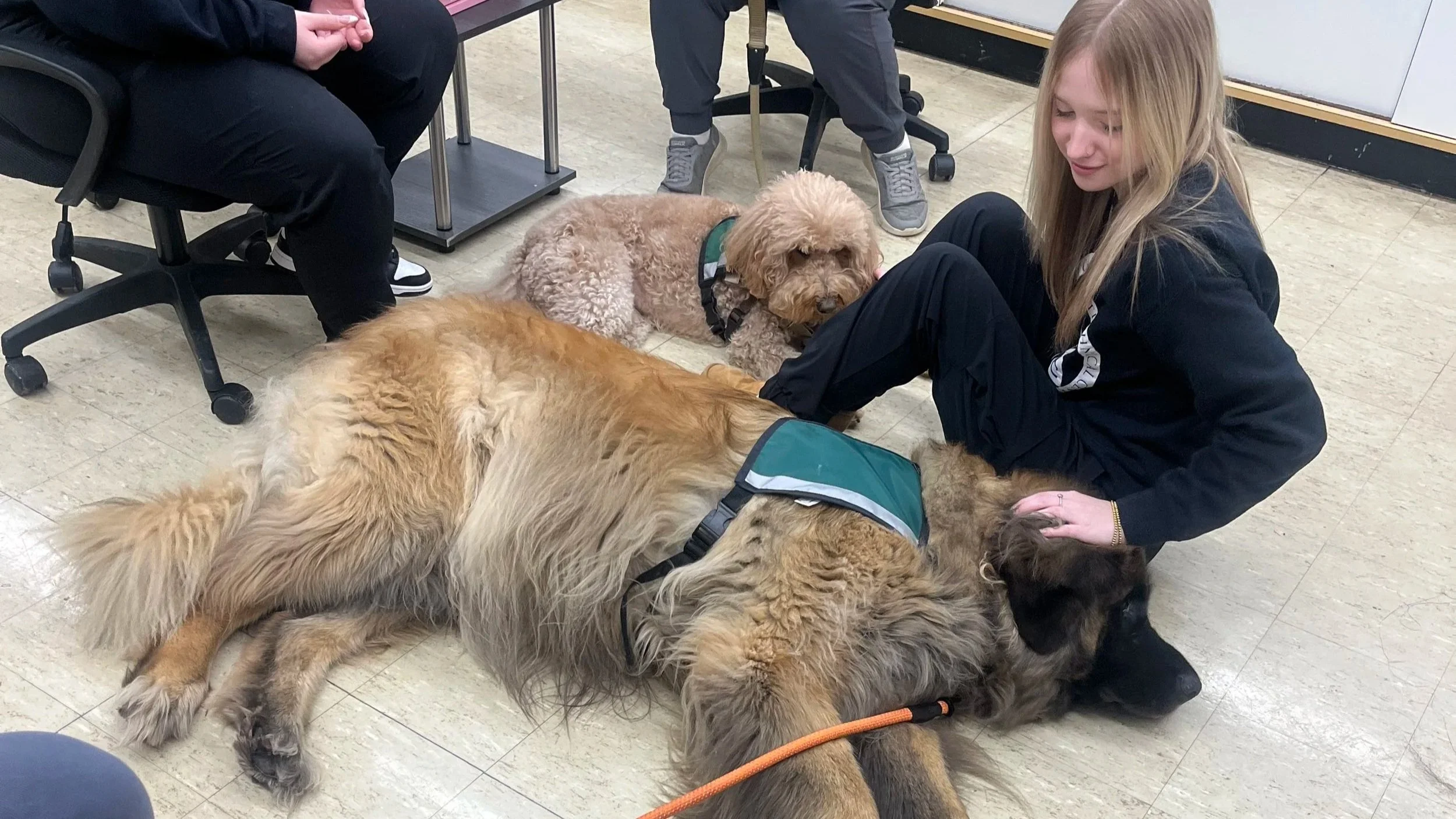 HOPE Therapy Dogs Leap into Service for LCCTC