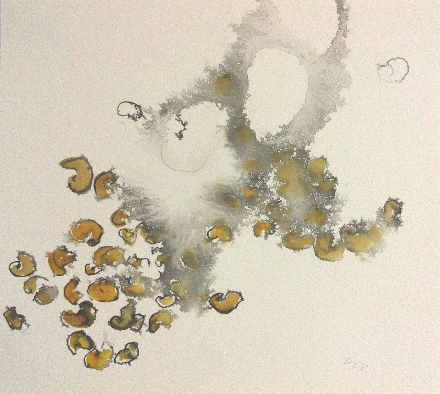 Oyster Fossils, Watercolor and Sumi Ink on Fabriano Paper, 15 x 17 inches