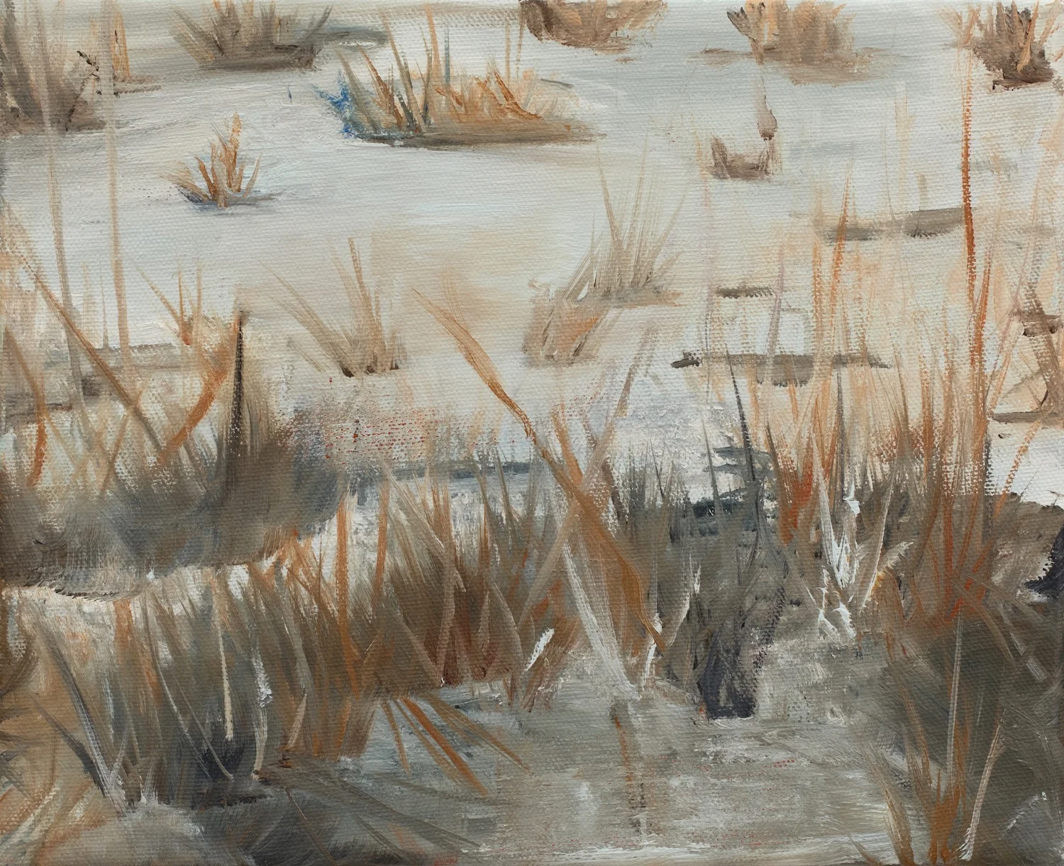 Rushes at Pettengill Bog, Oil on Linen, 8 x 10 inches