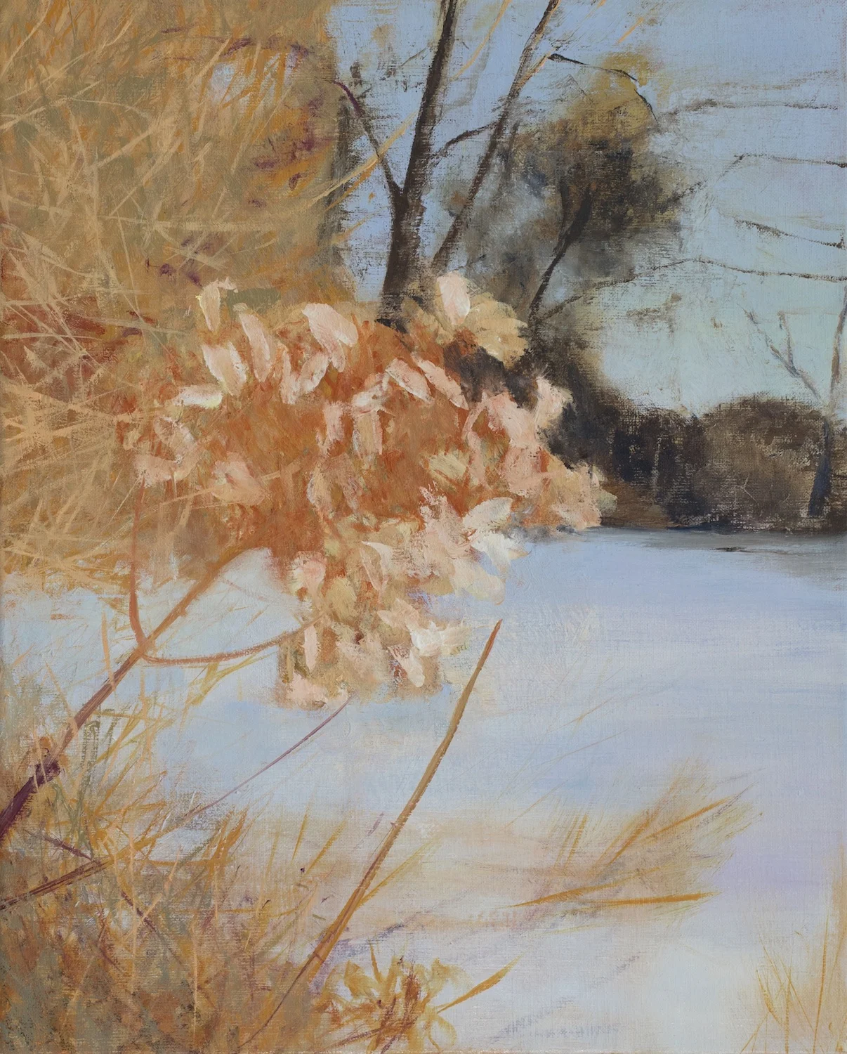 Hydrangeas in Winter, Oil on Linen, 20 x 16 inches
