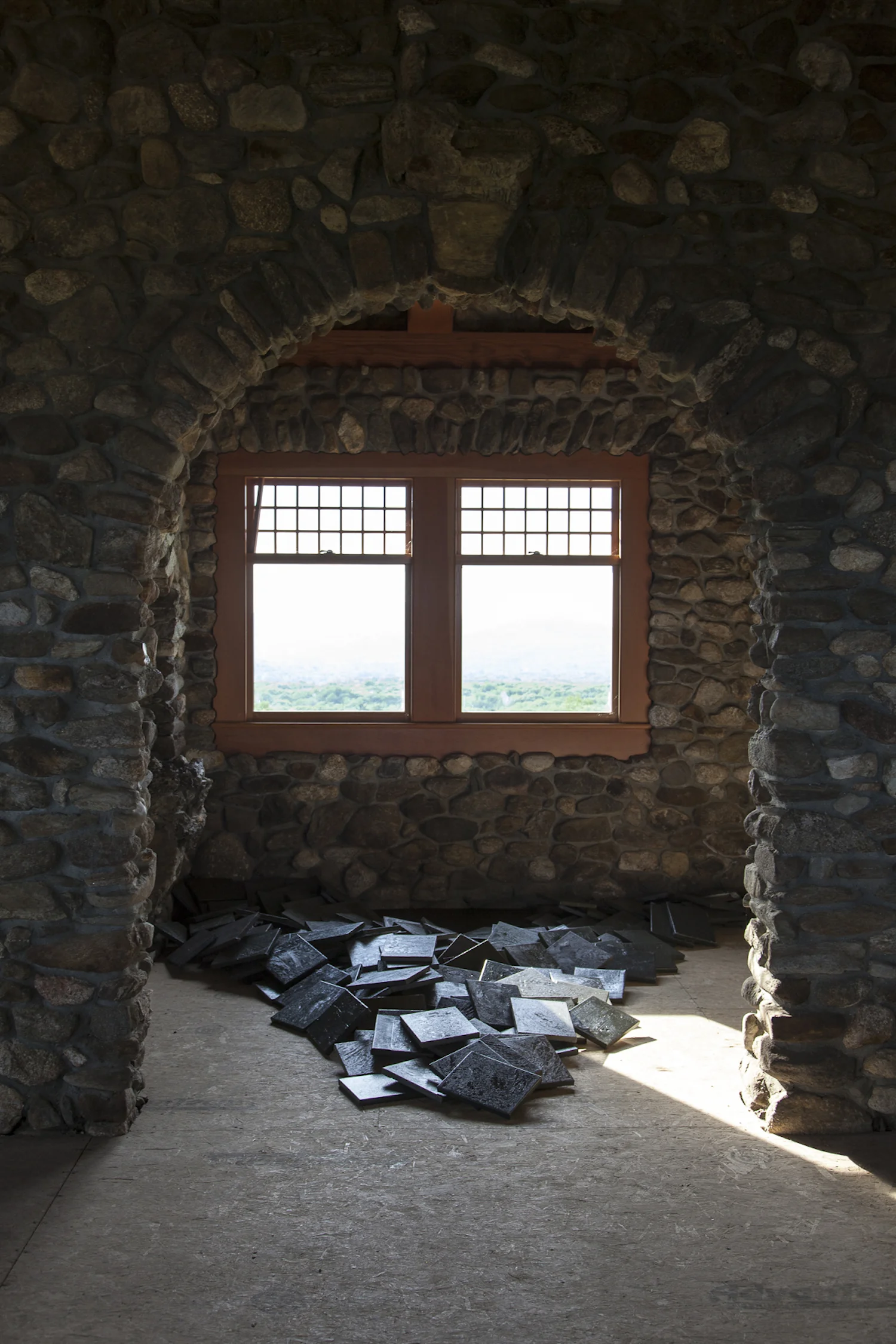 Stones on the Move, Beech Hill Interior with Sediments Canvases