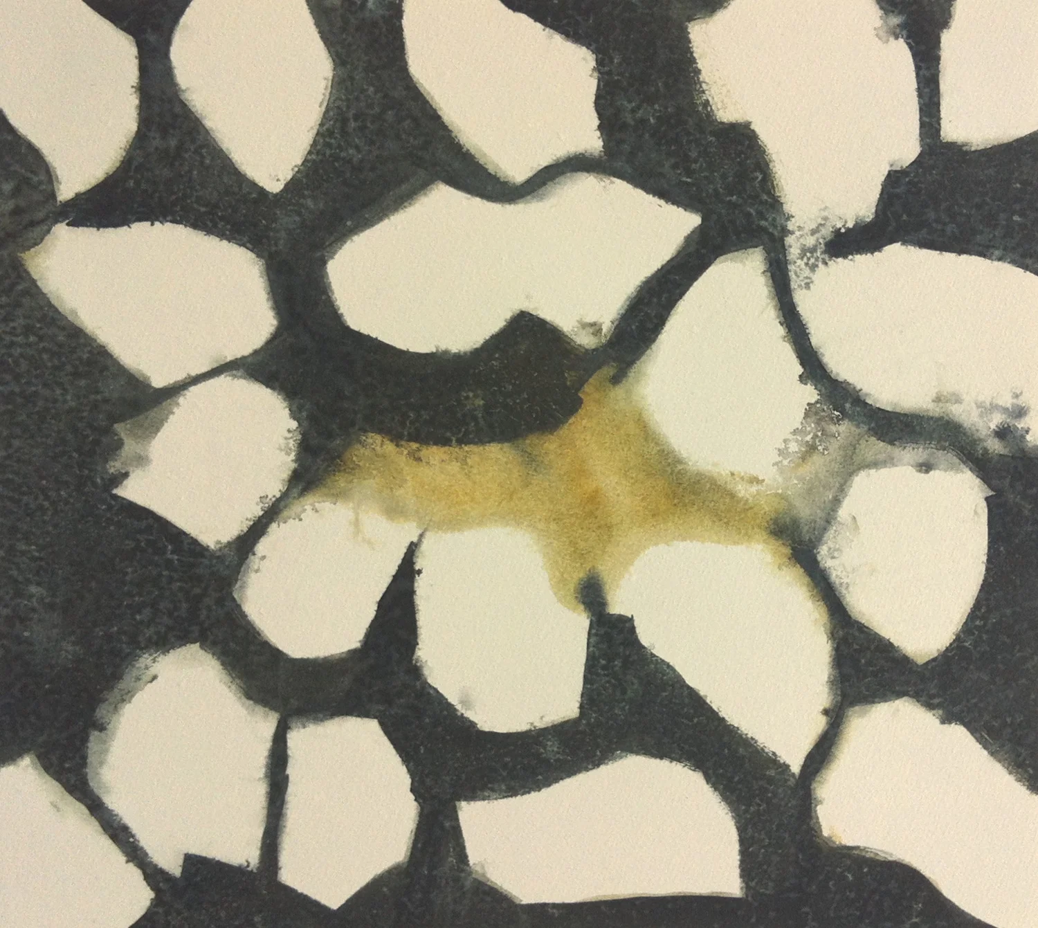 Oyster Traces, Watercolor and Charcoal on Fabriano Paper, 15 x 17 inches