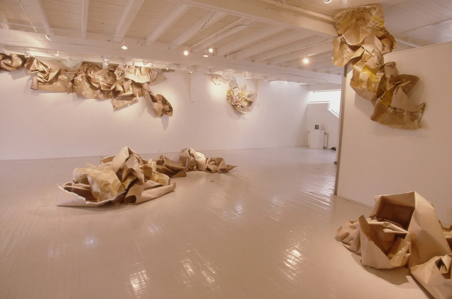 Erratics, Center for Maine Contemporary Art, Builders Paper, Installation View