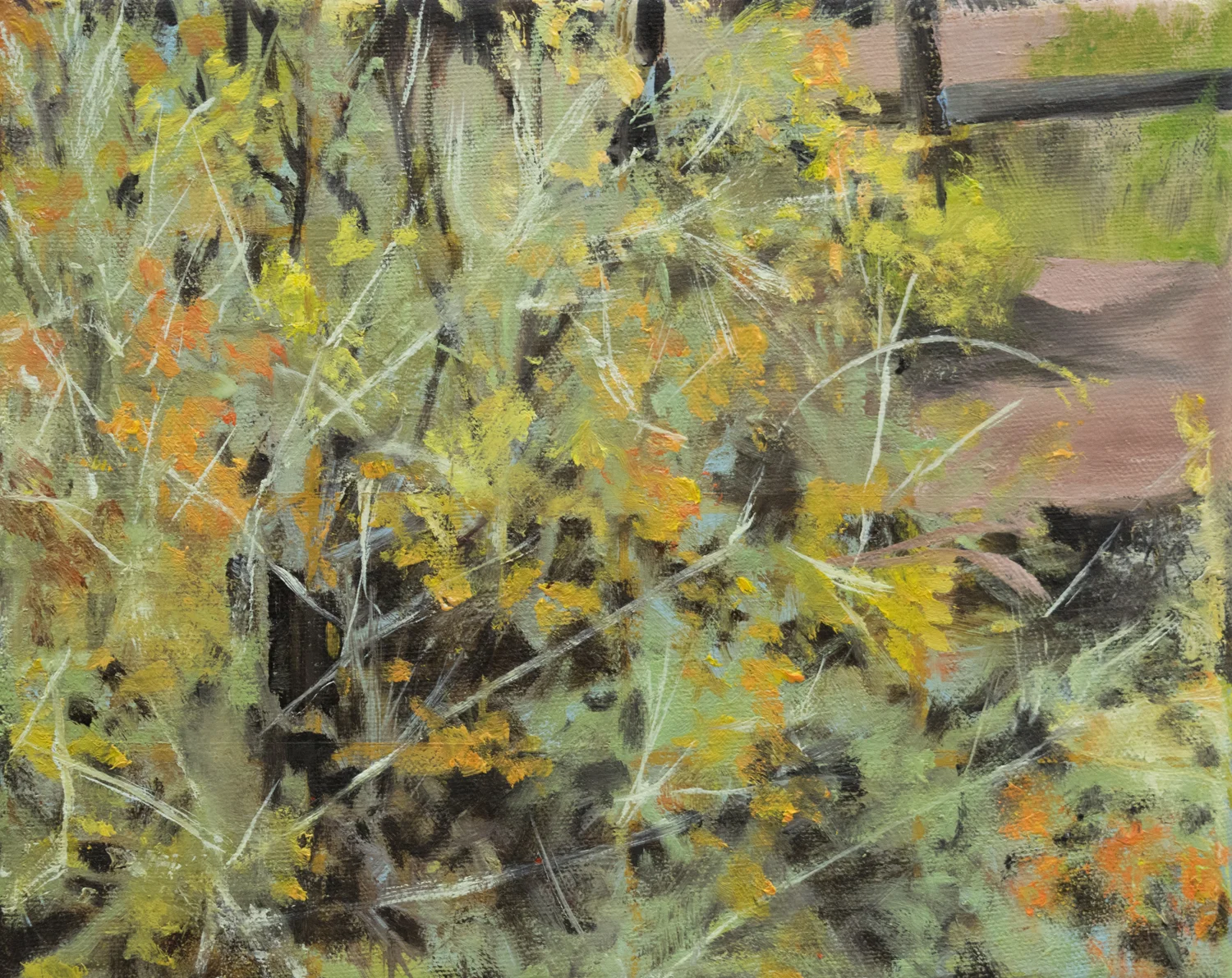 Small Chamisa, Oil on Linen, 8 x 10 inches