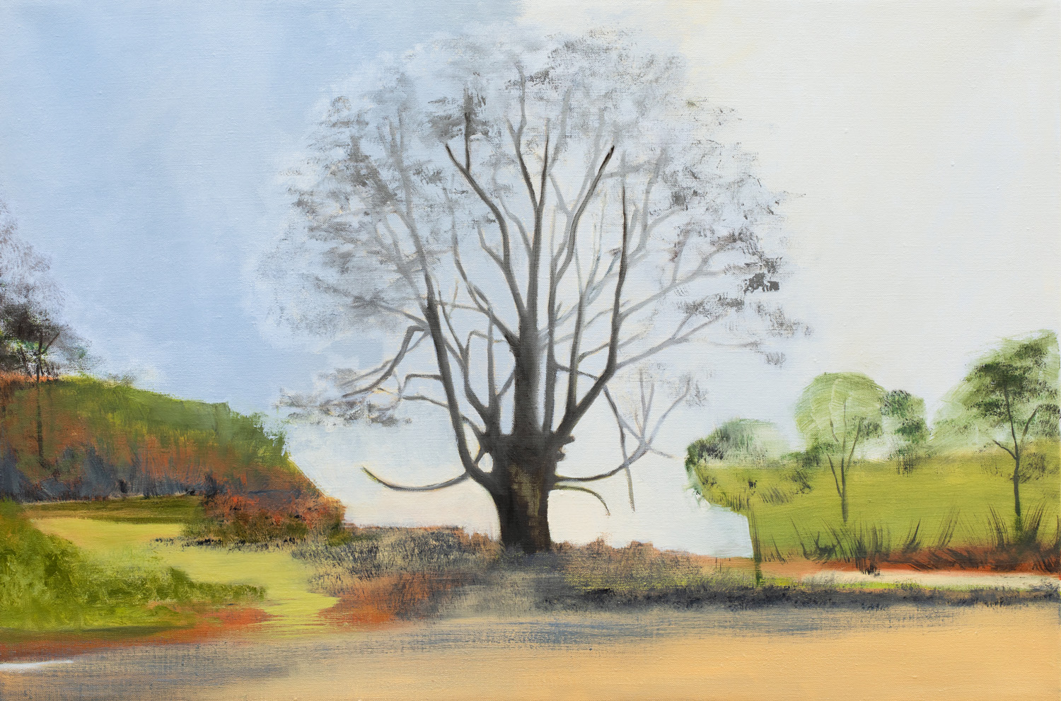 Hackberry, Oil on Linen, 24 x 36 Inches