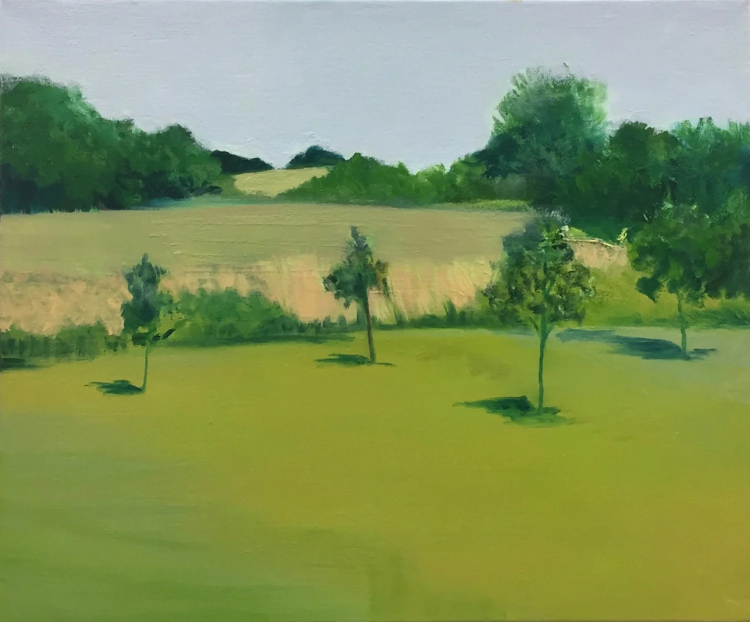 McCoun's Field, Oil on Linen, 20 x 24 inches