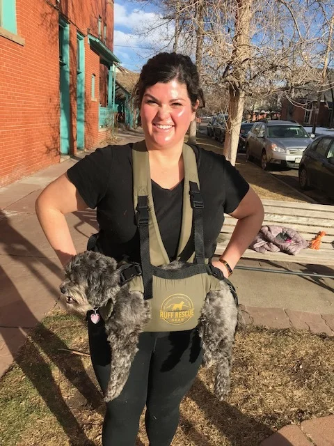 Pup traveler | Mapsru.com