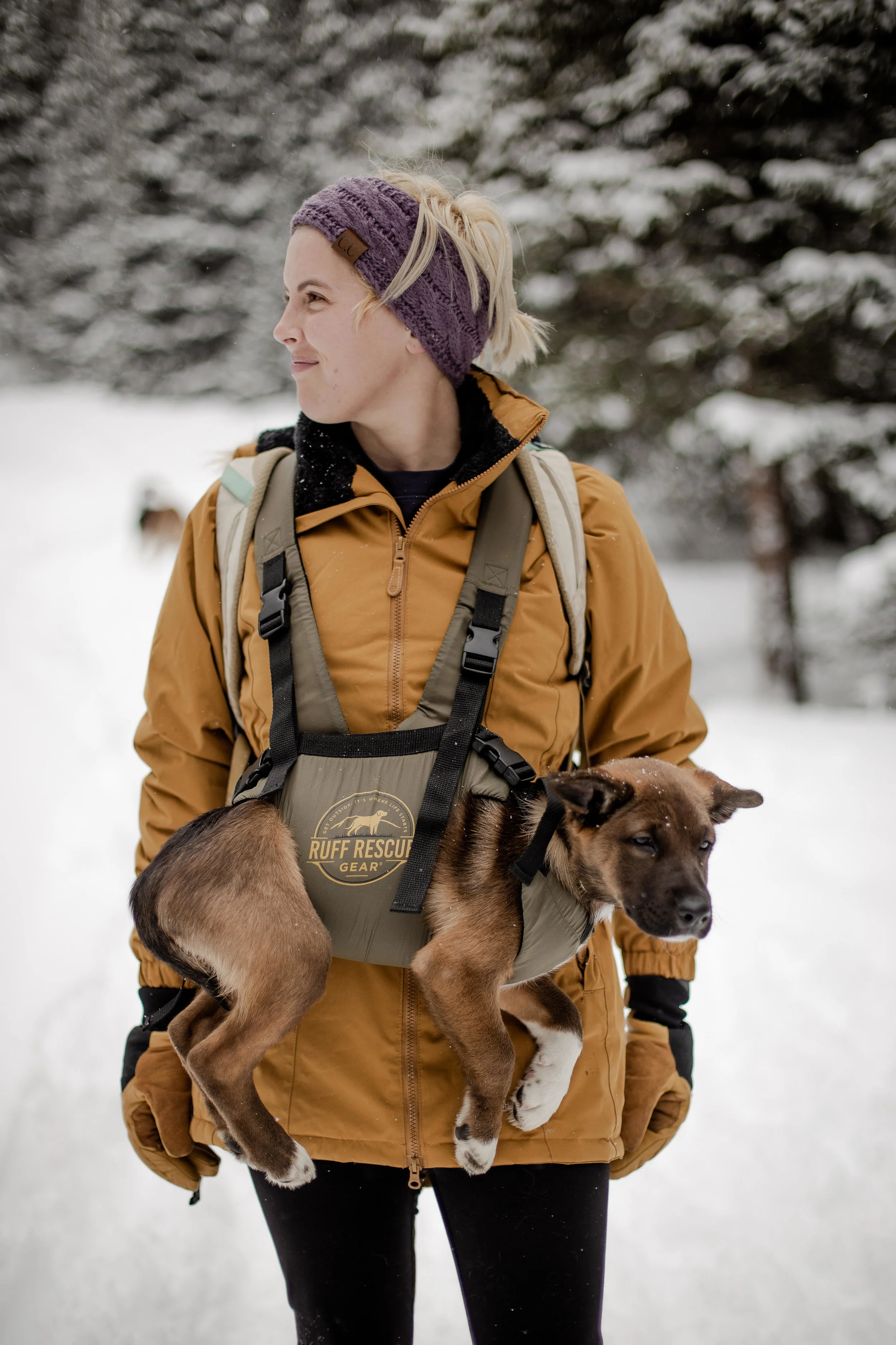 pupp traveler.jpg