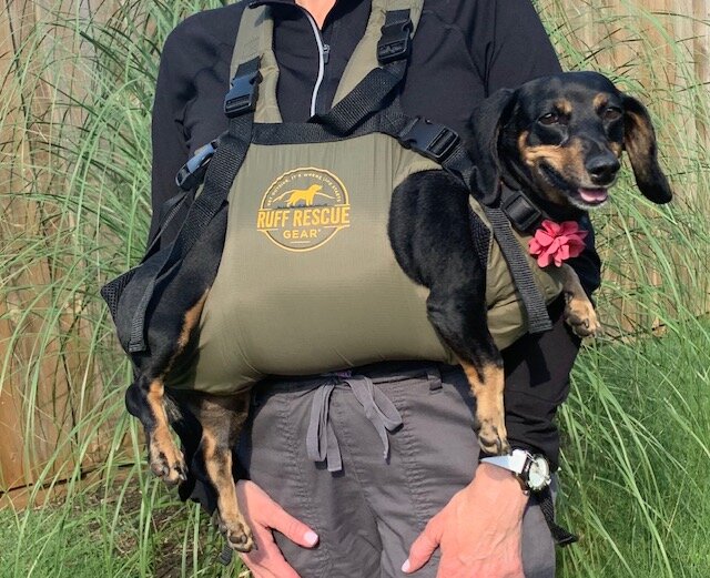 small dog carry harness