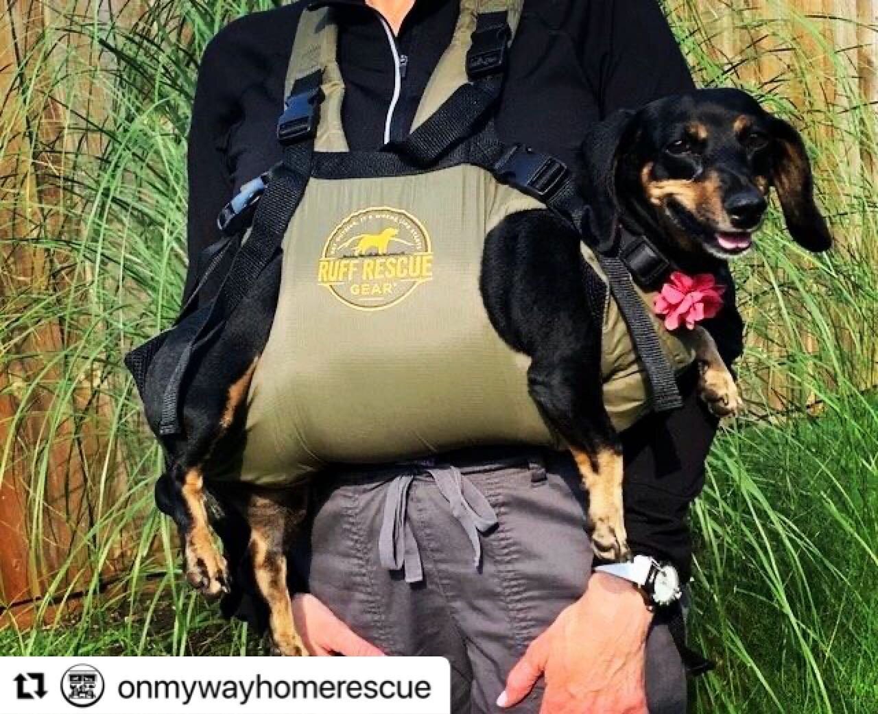 #Repost @onmywayhomerescue with @use.repost
・・・
We highly recommend the Pup Traveler for safely incorporating your IVDD, disabled, or older dogs into your active lifestyle. 

Check them out!

https://www.ruffrescuegear.com/shop/pup-traveler

#ruffres