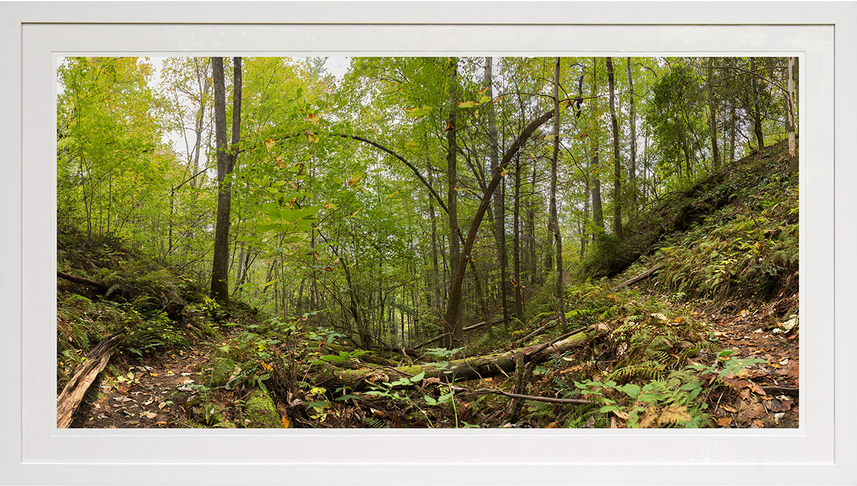 trail bend: chatahoochee n.f., ga