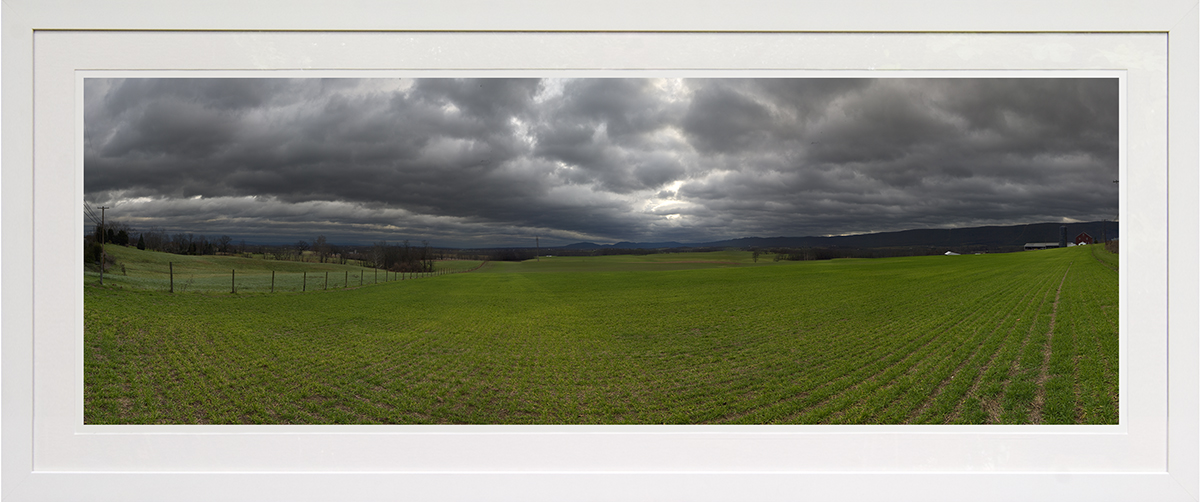 winter wheat: near fort laudin, pa