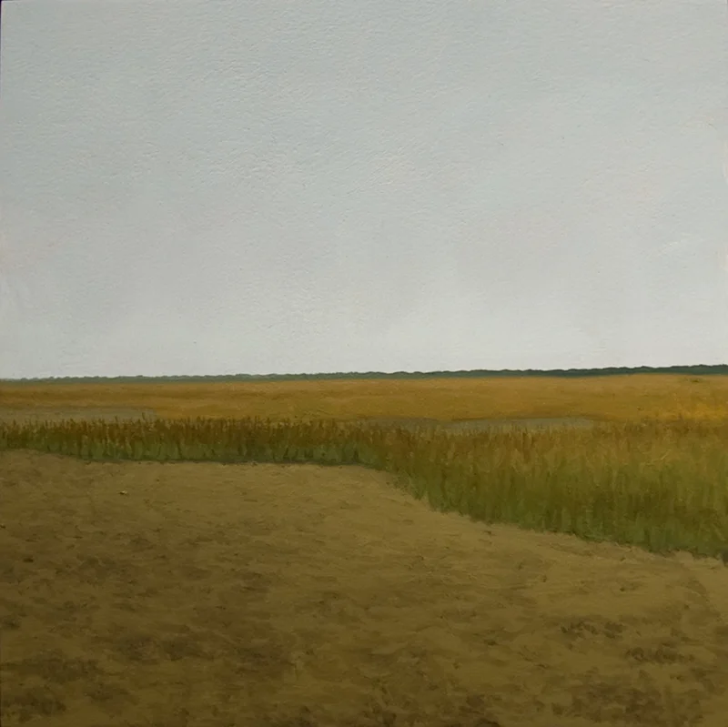 os 2 (tidal flat: goat island, sc)