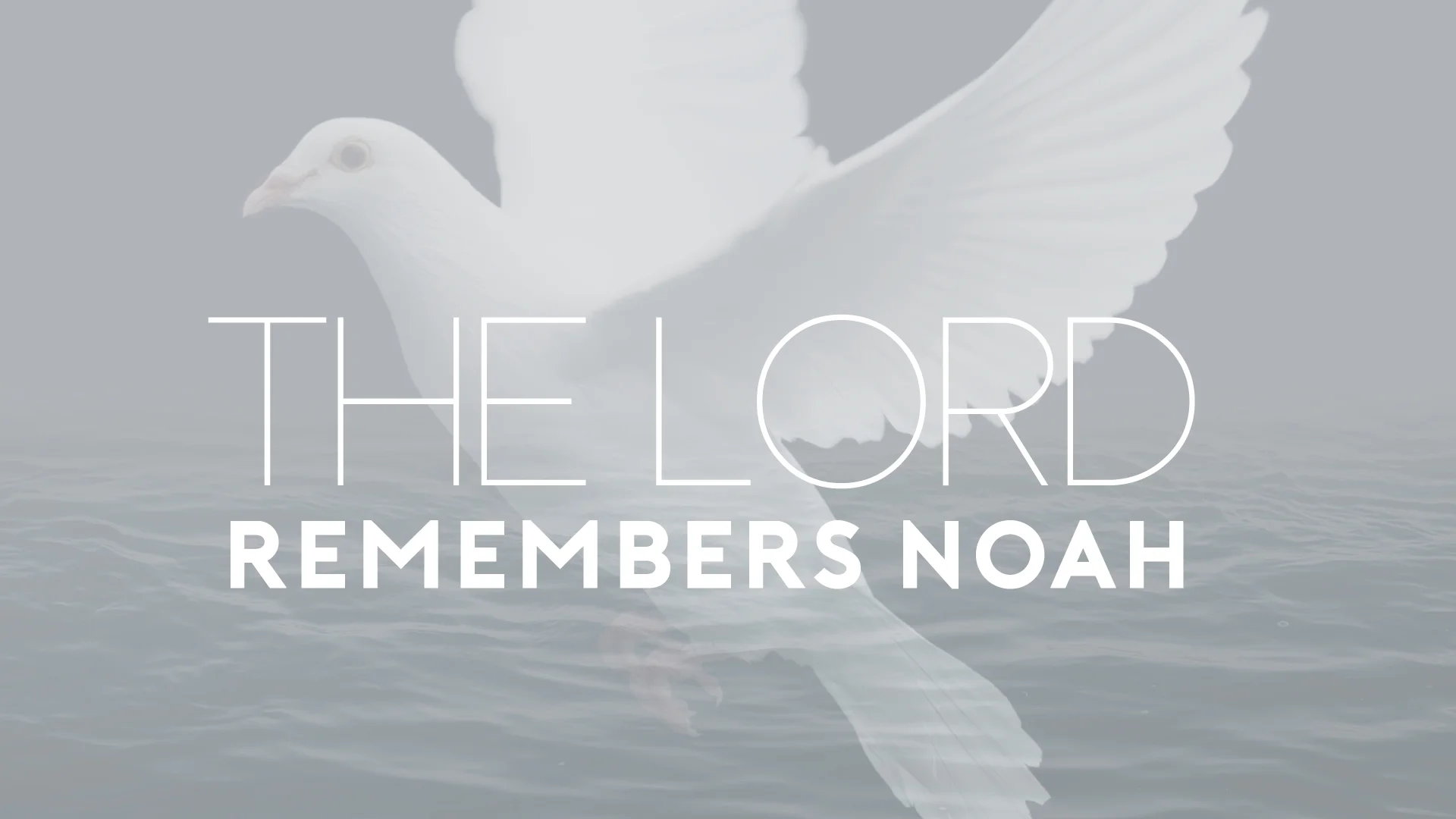 adrian rogers sermon on noah