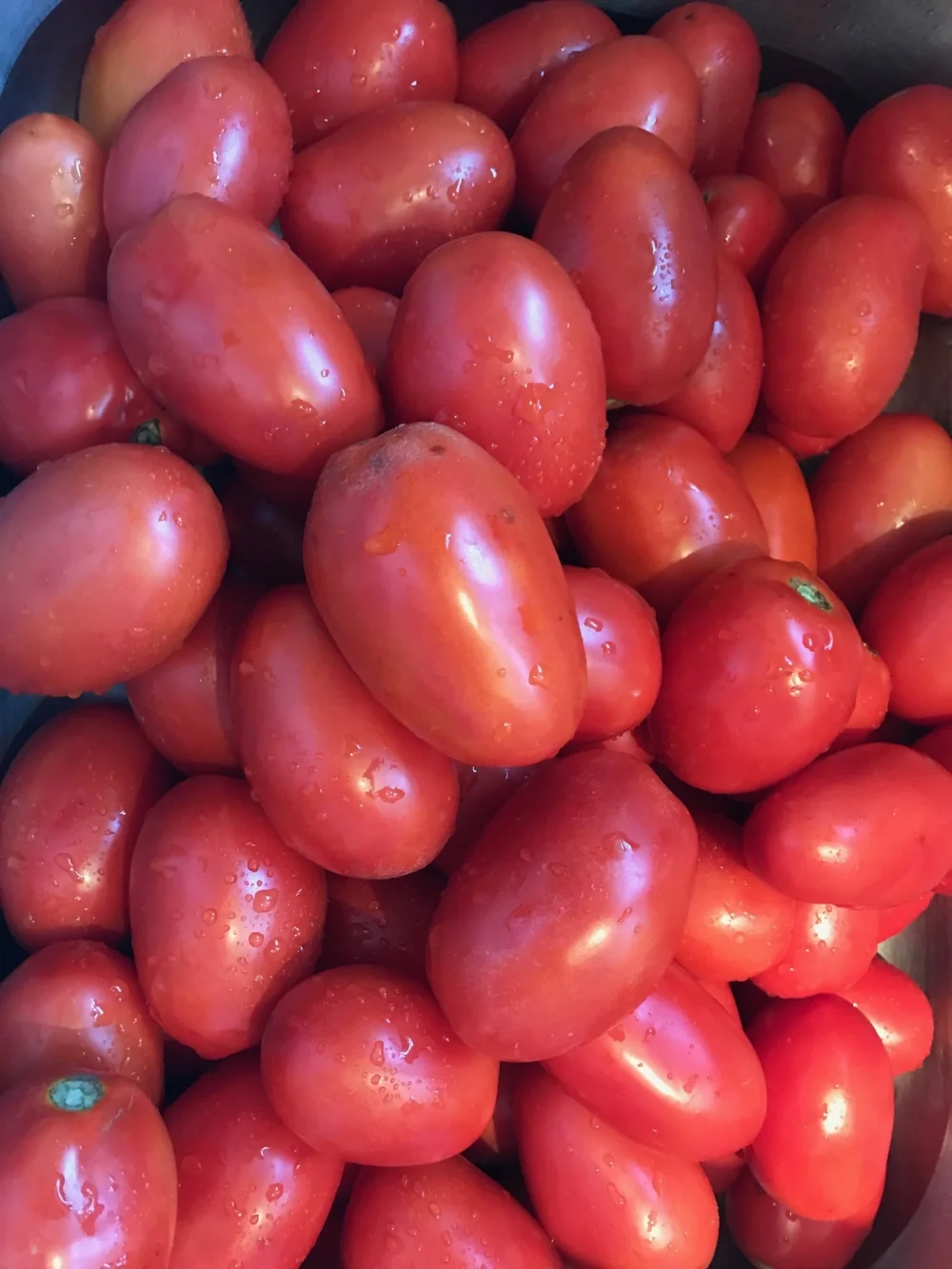 Jarring Tomatoes