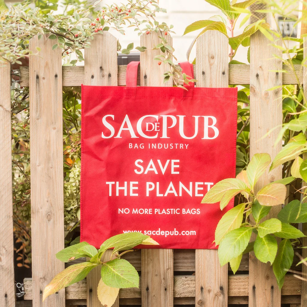 SACDEPUB-IMG-Concept.jpg