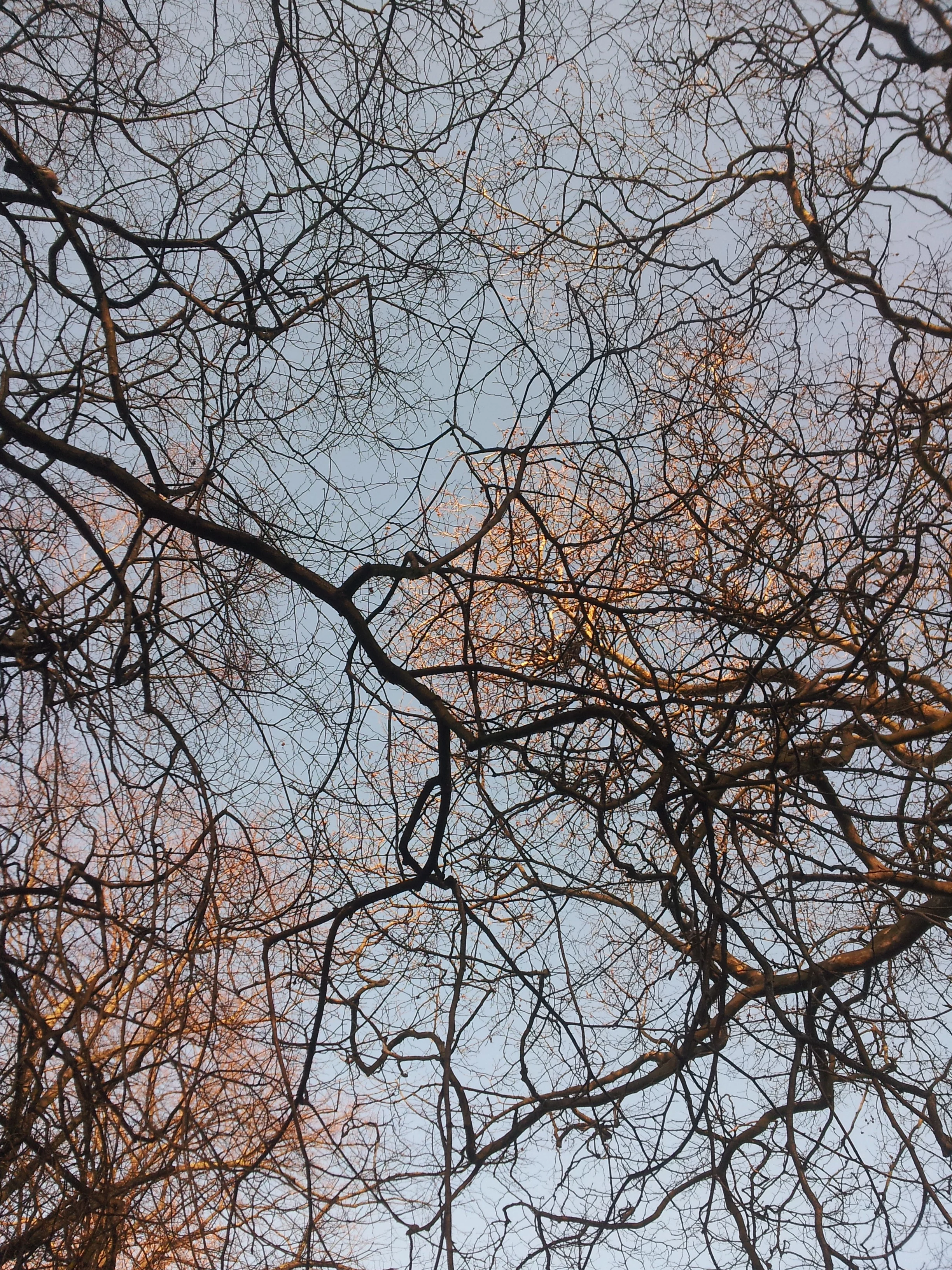 20150310_080616.jpg