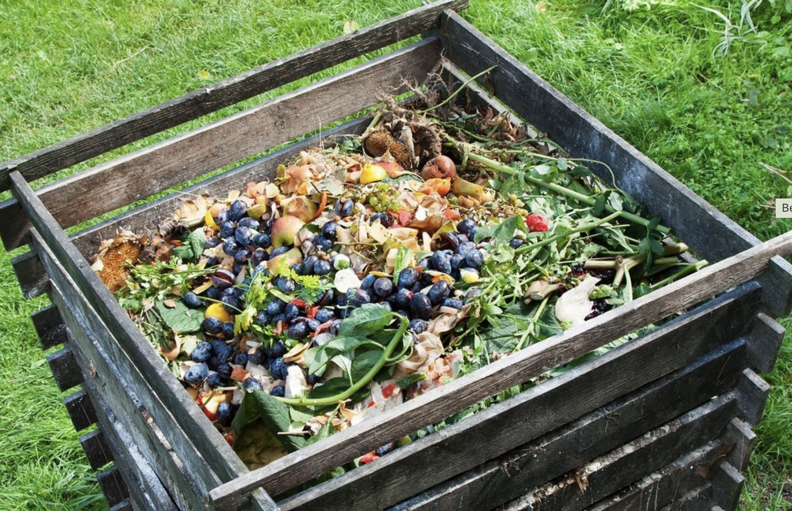 Backyard Composting for Beginners