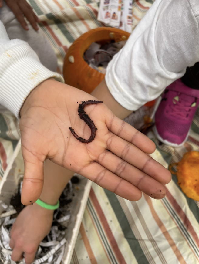 The Great Pumpkin Rescue: Build a Worm Compost Habitat