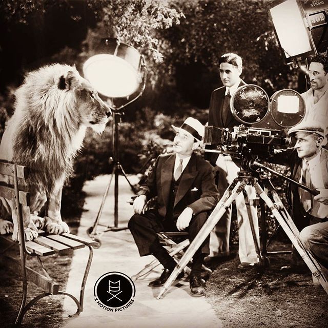 The lion is sitting in a calm and natural state. The lion is unpredictable. The lion is acting well.  #history #film #movies #oldphoto #historyinfilm #xmp #xmotionpictures &ldquo;PwC&rsquo;s Global entertainment and media outlook 2015-2019 forecasts 