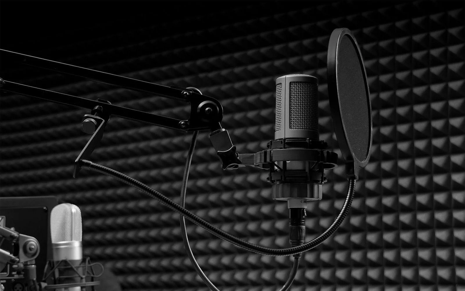 mic b and w.jpg